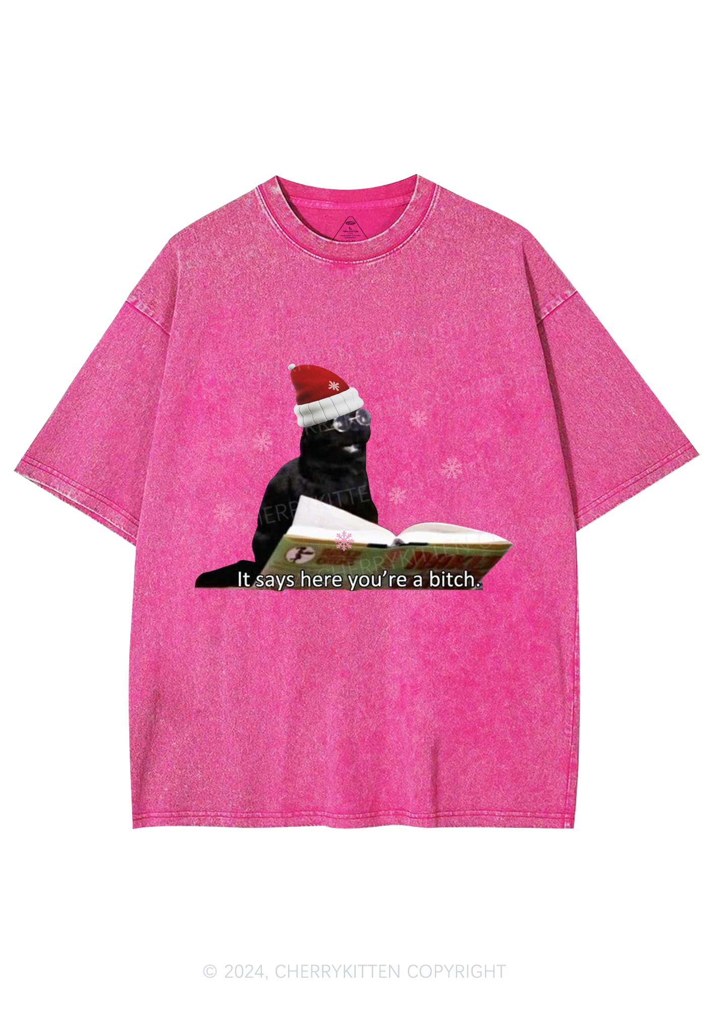 Christmas Cat Bxxch Y2K Washed Tee Cherrykitten