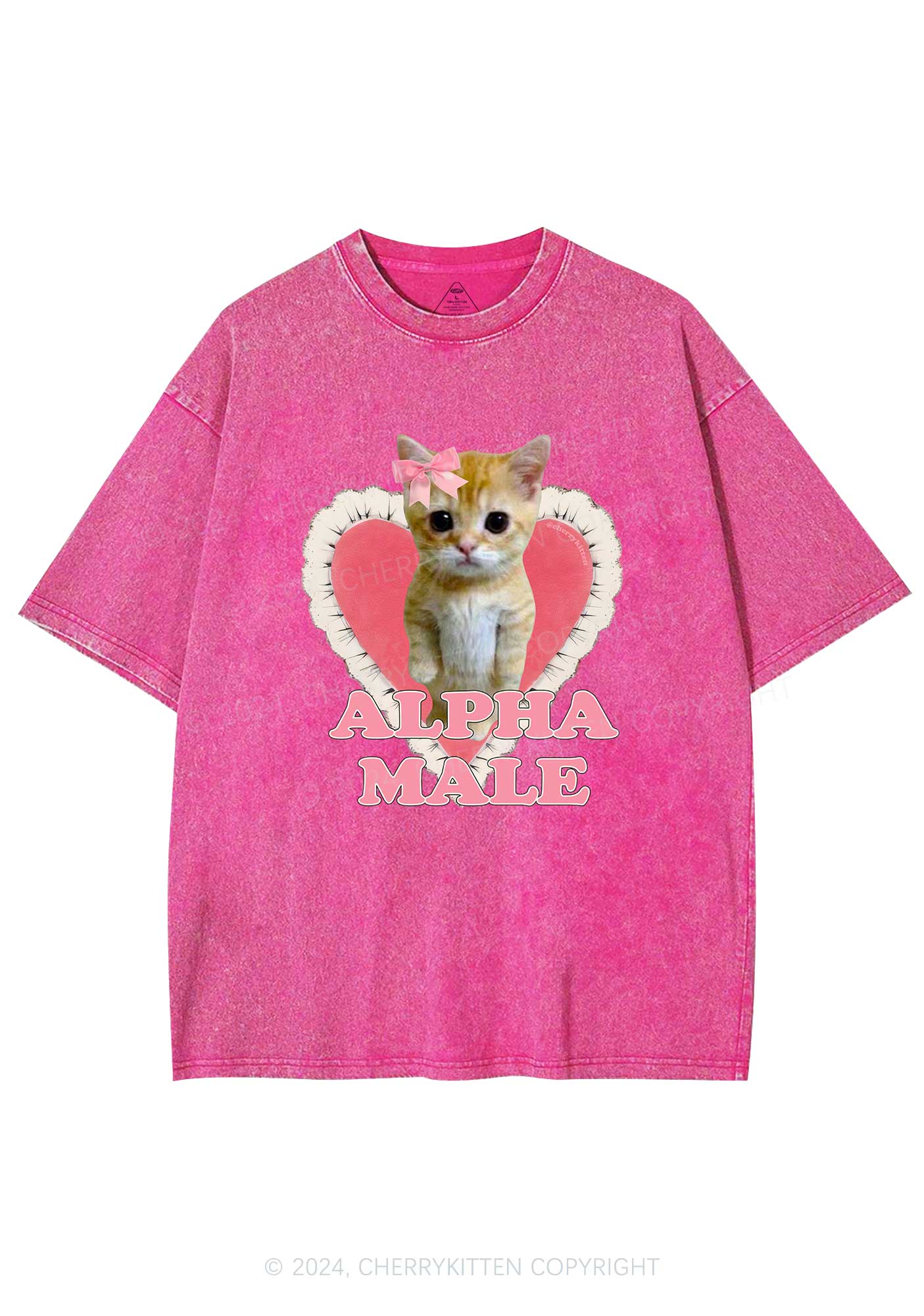 Alpha Male Kitten Y2K Washed Tee Cherrykitten