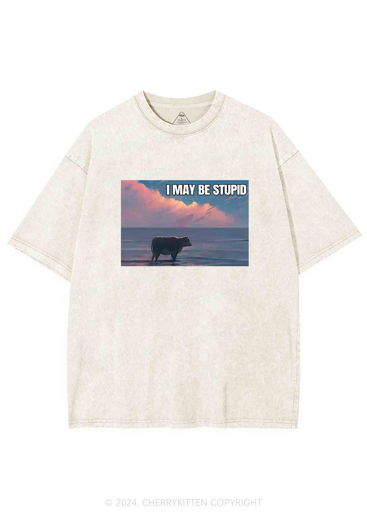 I May Be Stupid Meme Y2K Washed Tee Cherrykitten