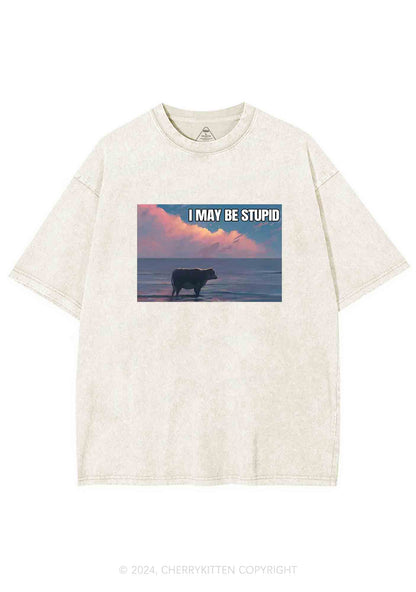 I May Be Stupid Meme Y2K Washed Tee Cherrykitten