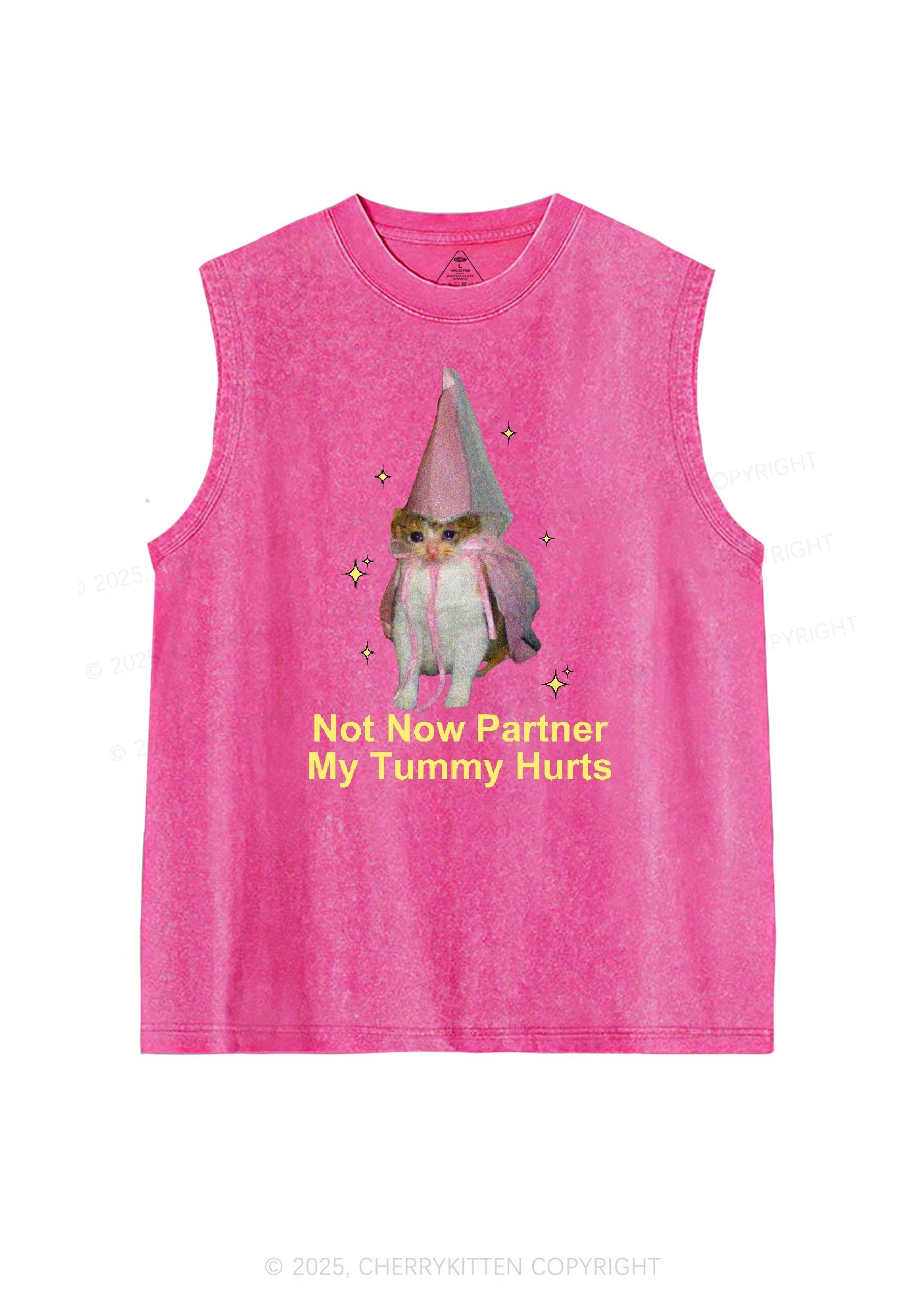 Tummy Hurts Cat Y2K Washed Tank Cherrykitten