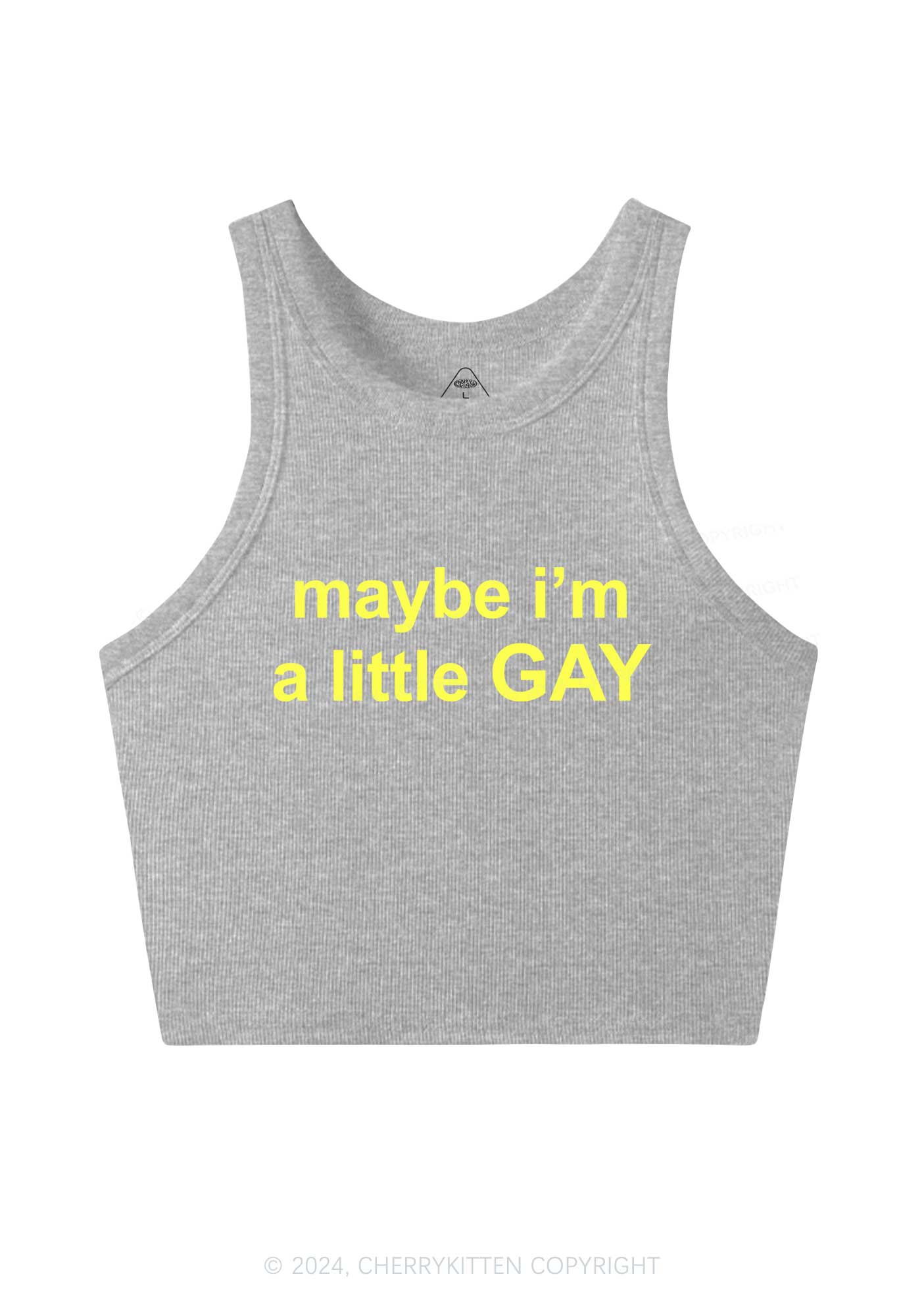 Maybe I'm A Gay Y2K Crop Tank Top Cherrykitten