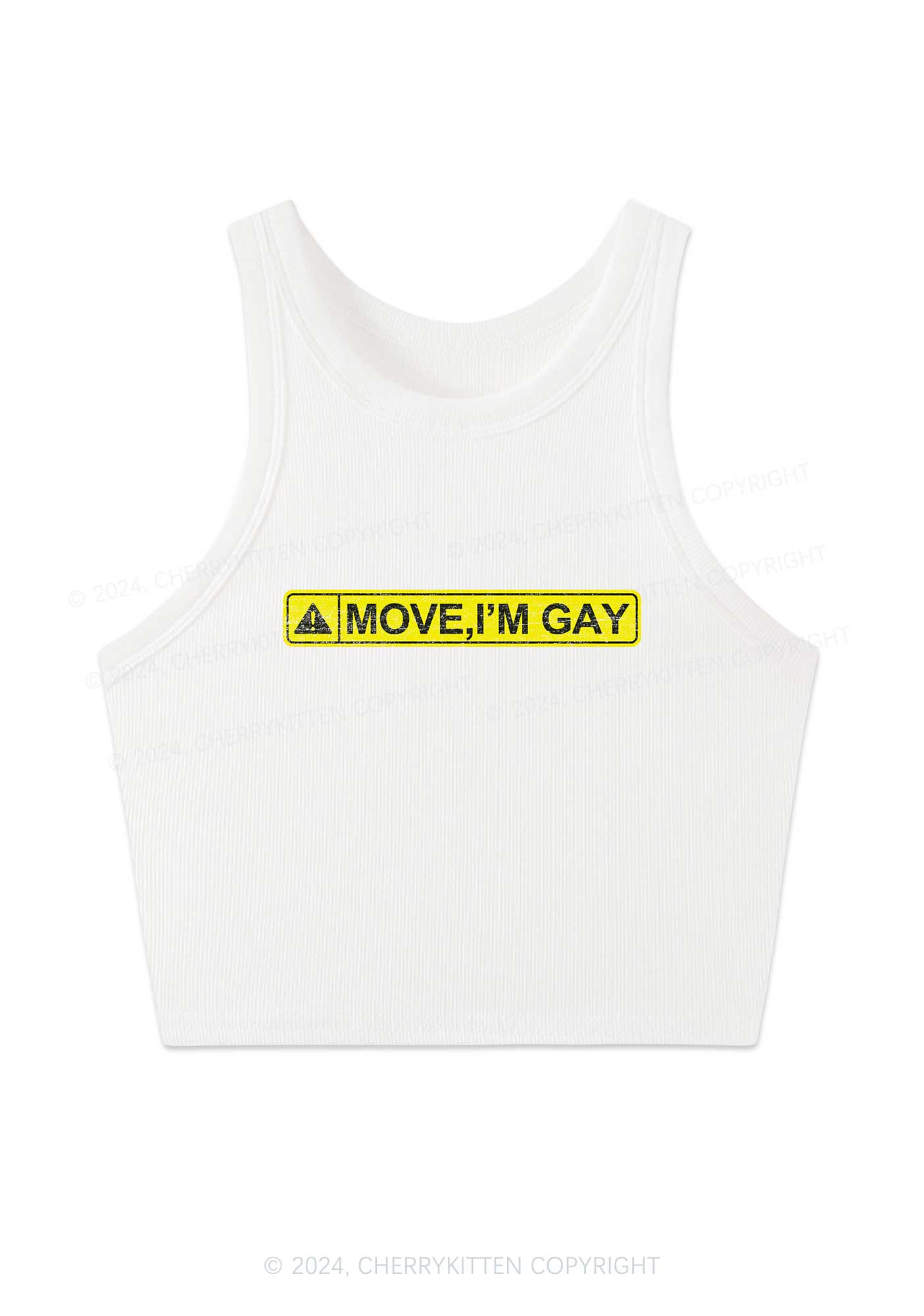 Move I'm Gay Y2K Crop Tank Top Cherrykitten