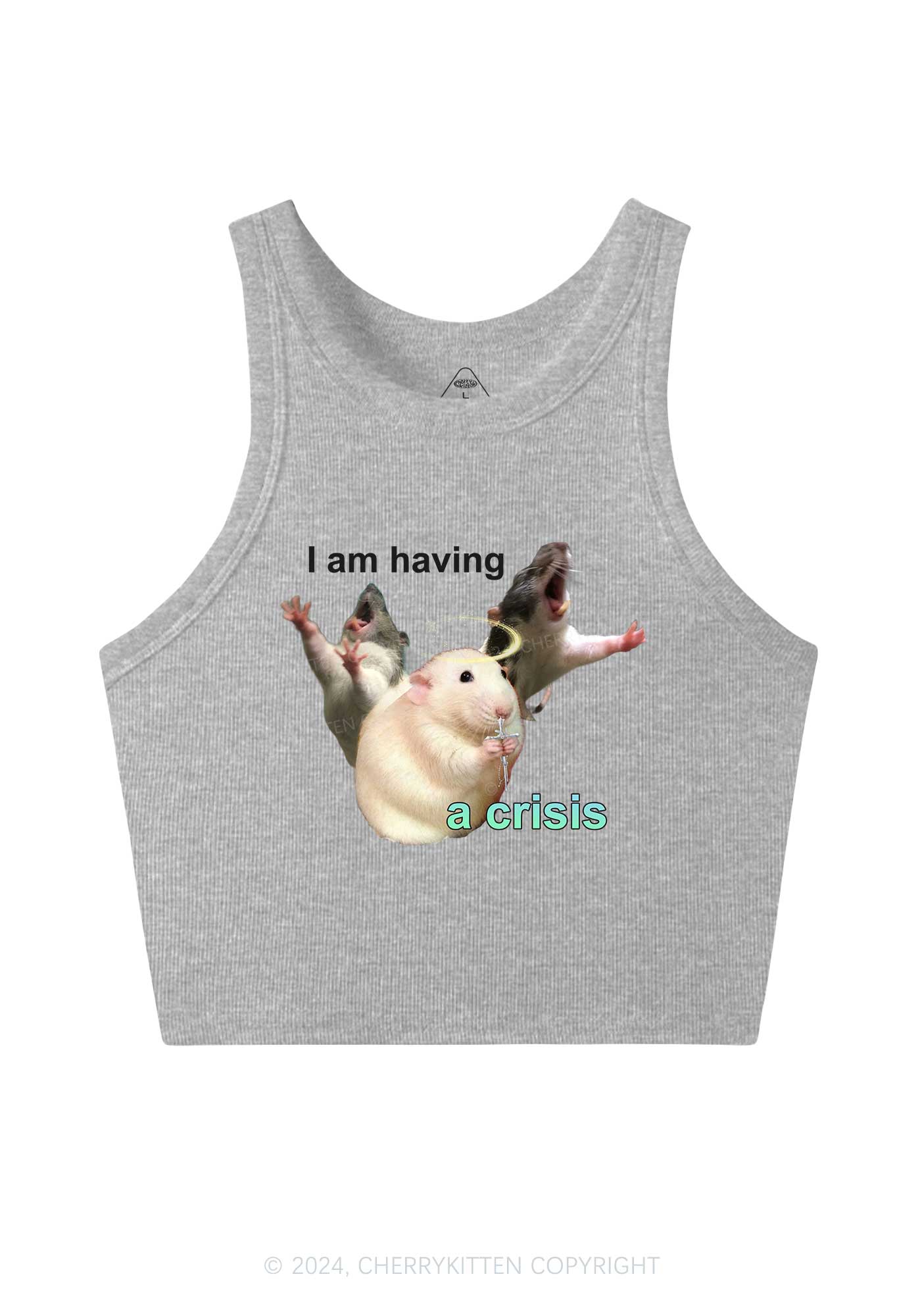 I Am Having Crisis Y2K Crop Tank Top Cherrykitten