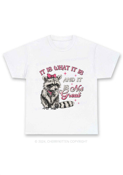 Not Great Raccoon Y2K Chunky Shirt Cherrykitten