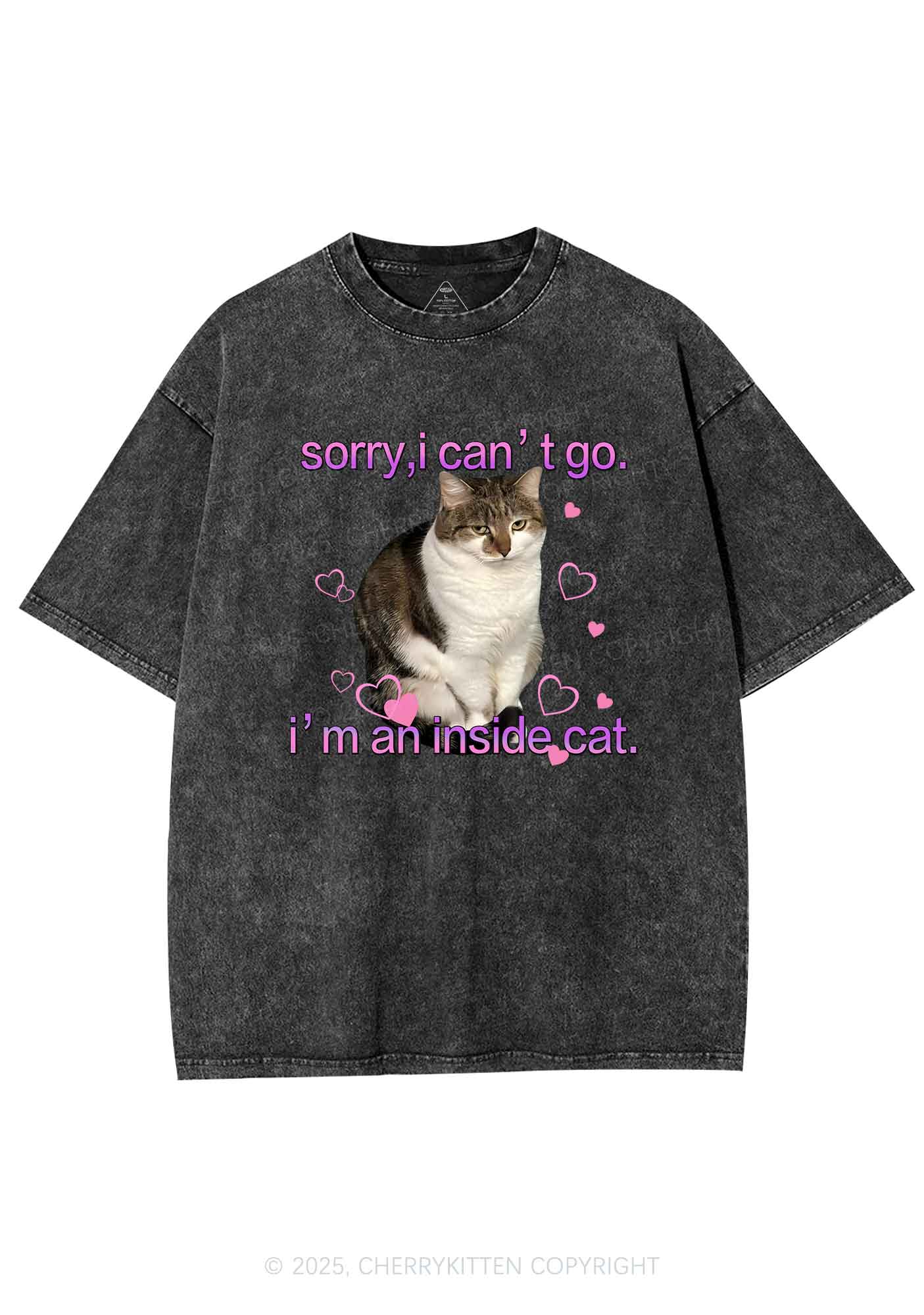 Im An Inside Cat Y2K Washed Tee Cherrykitten