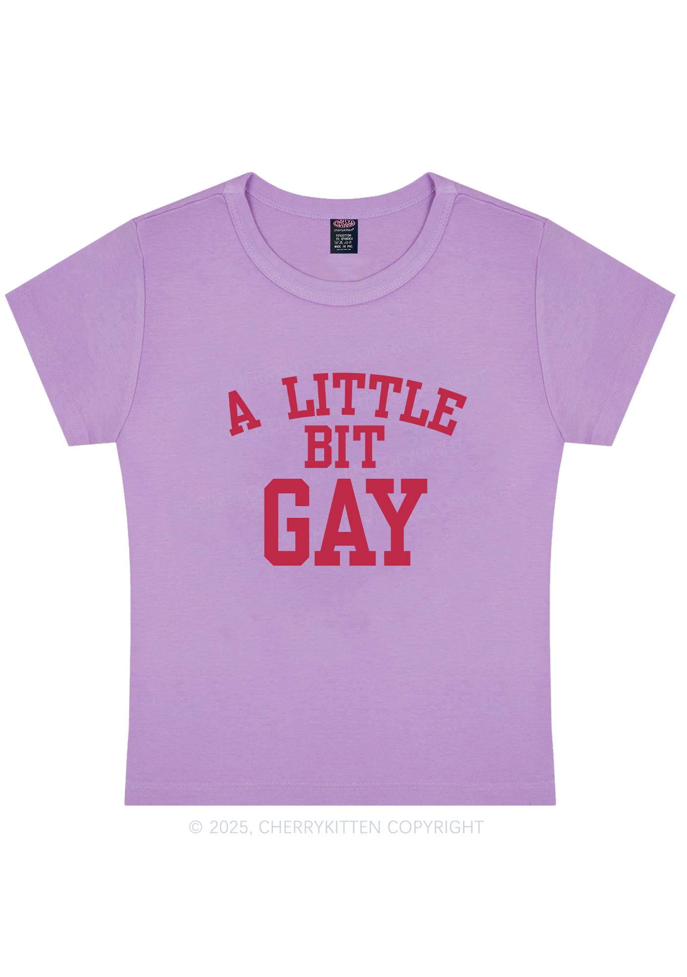 A Little Bit Gay Y2K Baby Tee Cherrykitten