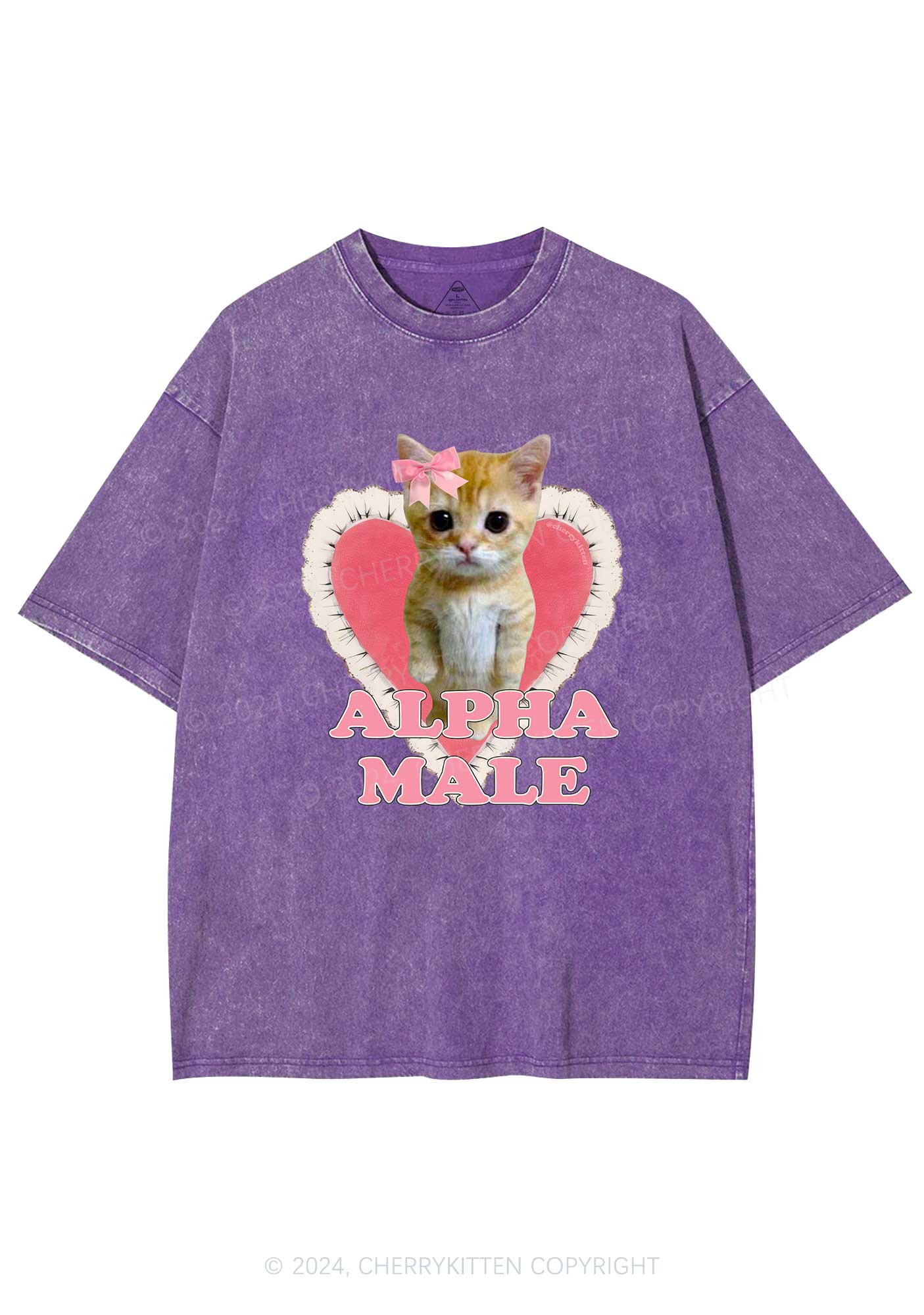 Alpha Male Kitten Y2K Washed Tee Cherrykitten