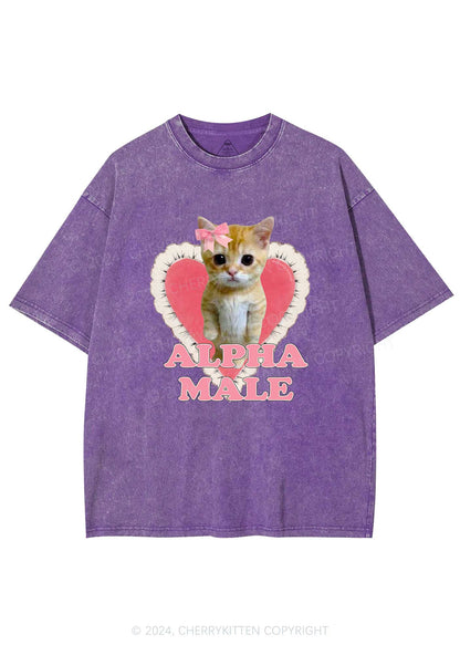 Alpha Male Kitten Y2K Washed Tee Cherrykitten