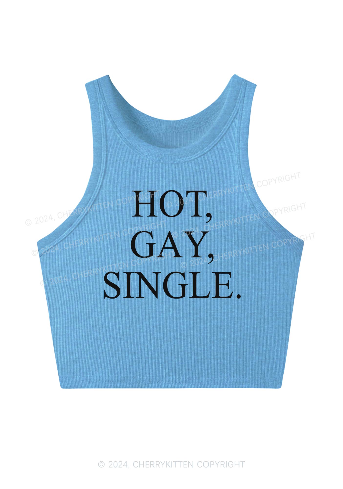 Hot Gay Single Y2K Crop Tank Top Cherrykitten