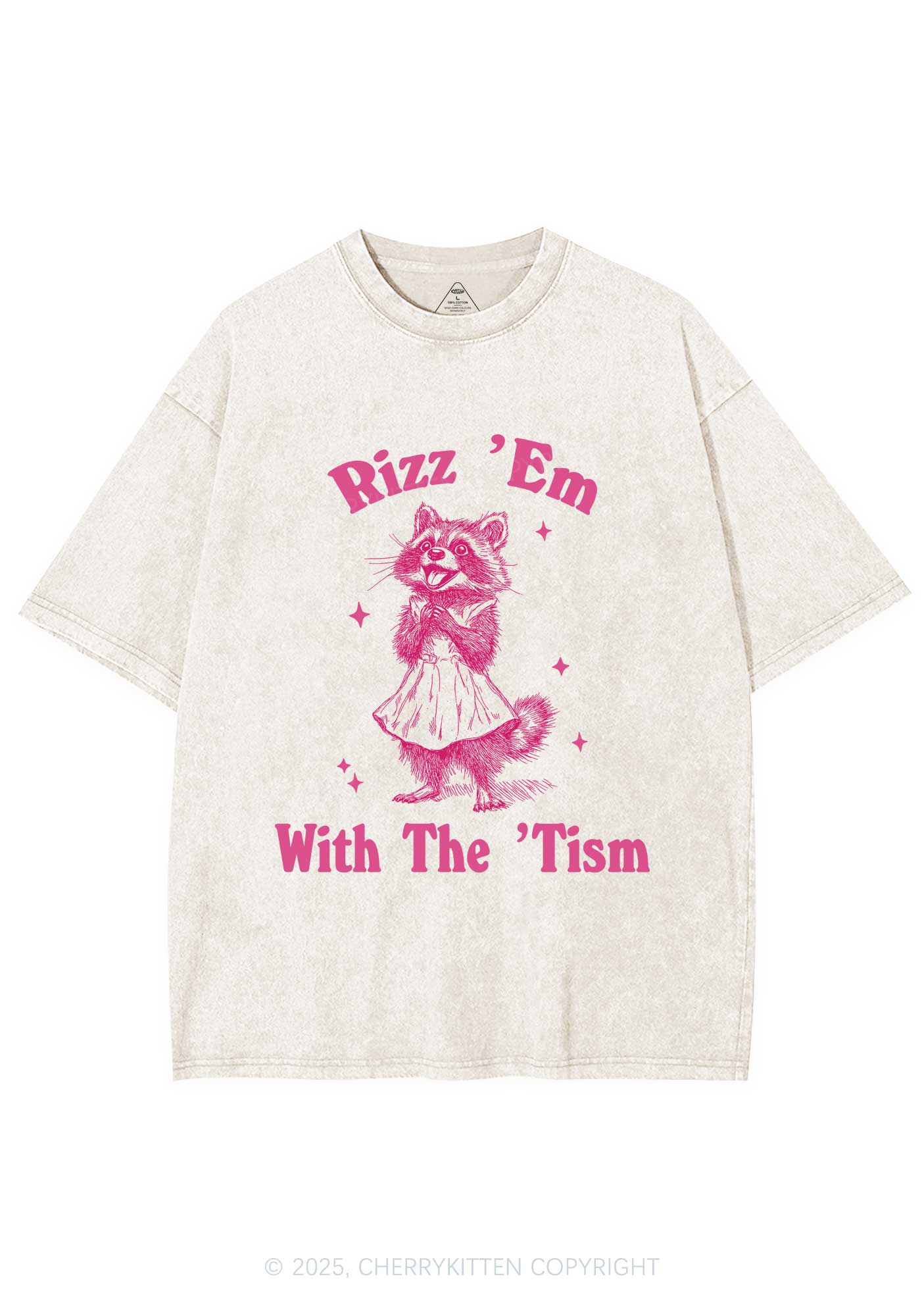 Rizz Em With The Tism Y2K Washed Tee Cherrykitten