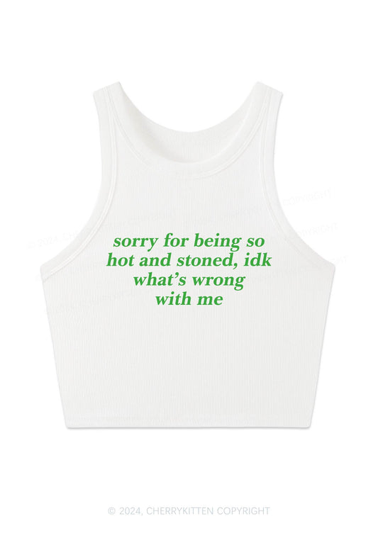 Sorry For Being Hot And Stoned Y2K Crop Tank Top Cherrykitten