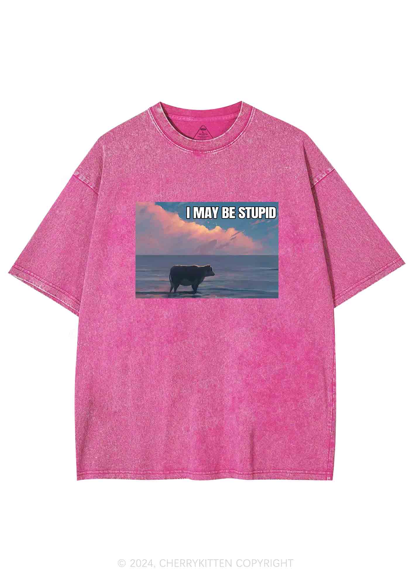 I May Be Stupid Meme Y2K Washed Tee Cherrykitten