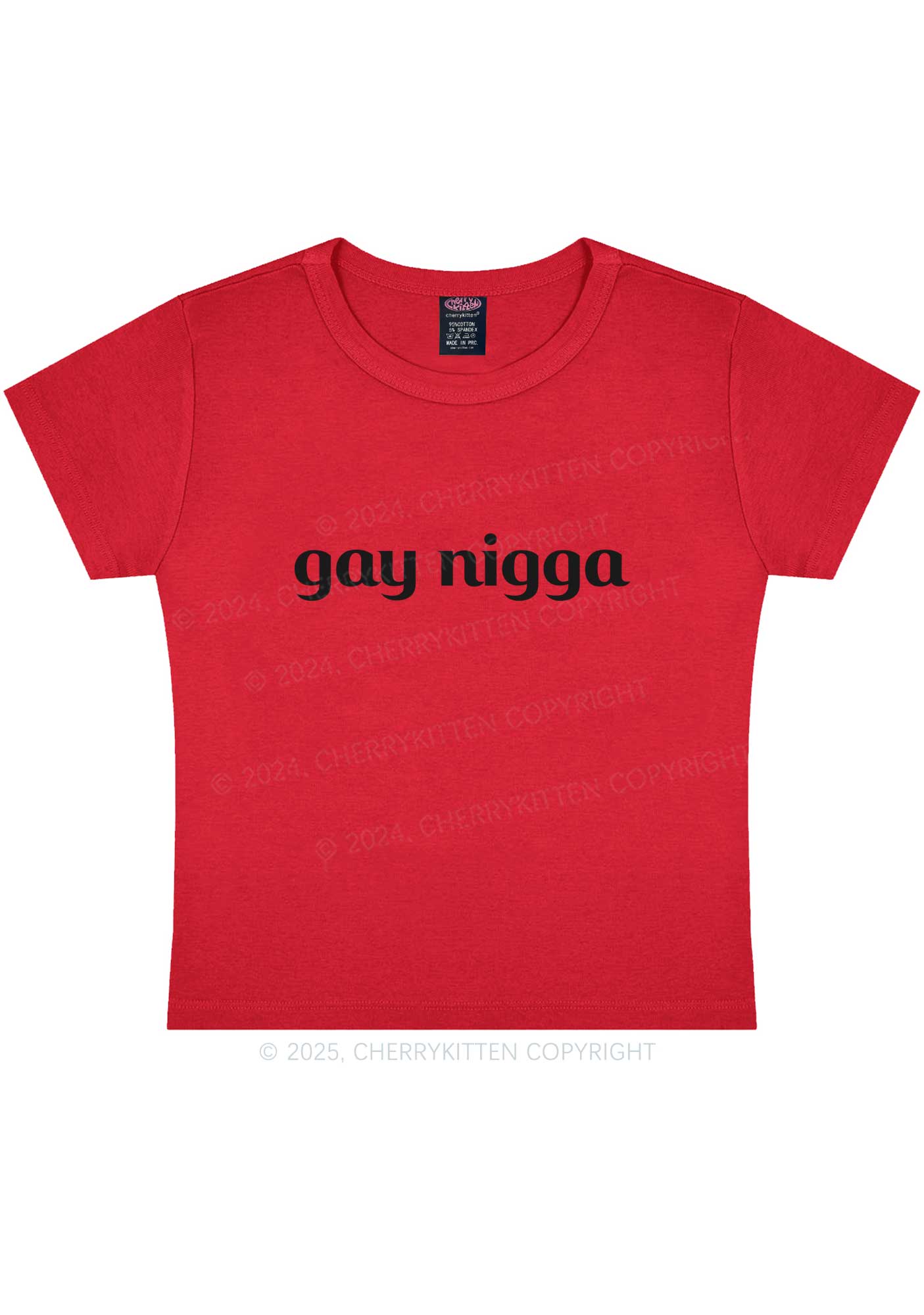 Gay Nigga Y2K Baby Tee Cherrykitten