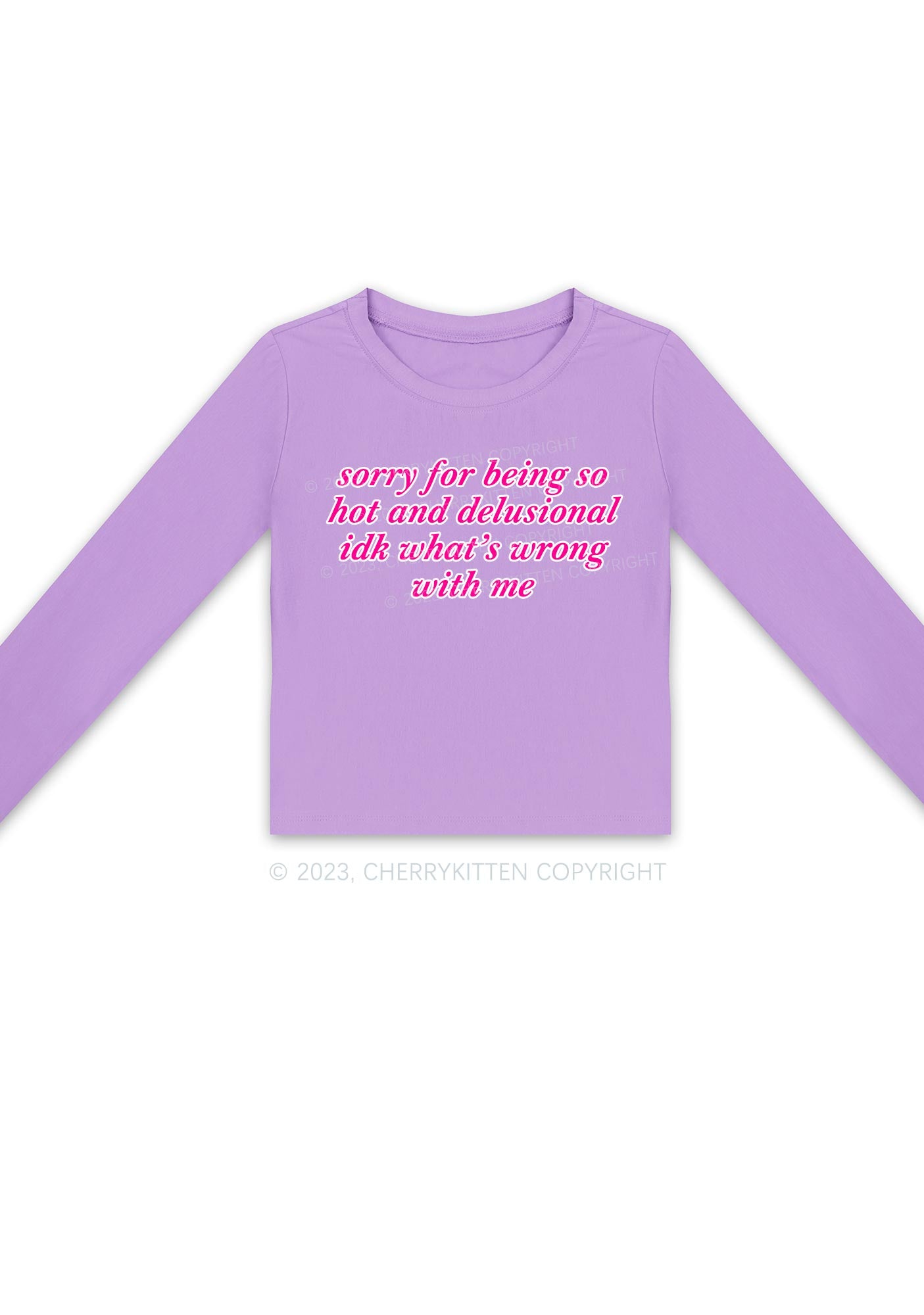 Sorry For Being So Hot And Delusional Y2K Long Sleeve Crop Top Cherrykitten