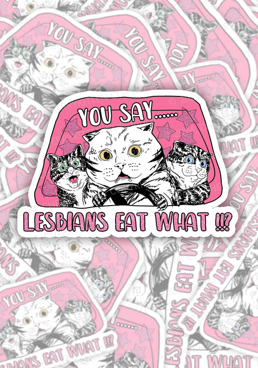 You Say Lesbians Eat What 1Pc Y2K Sticker Cherrykitten