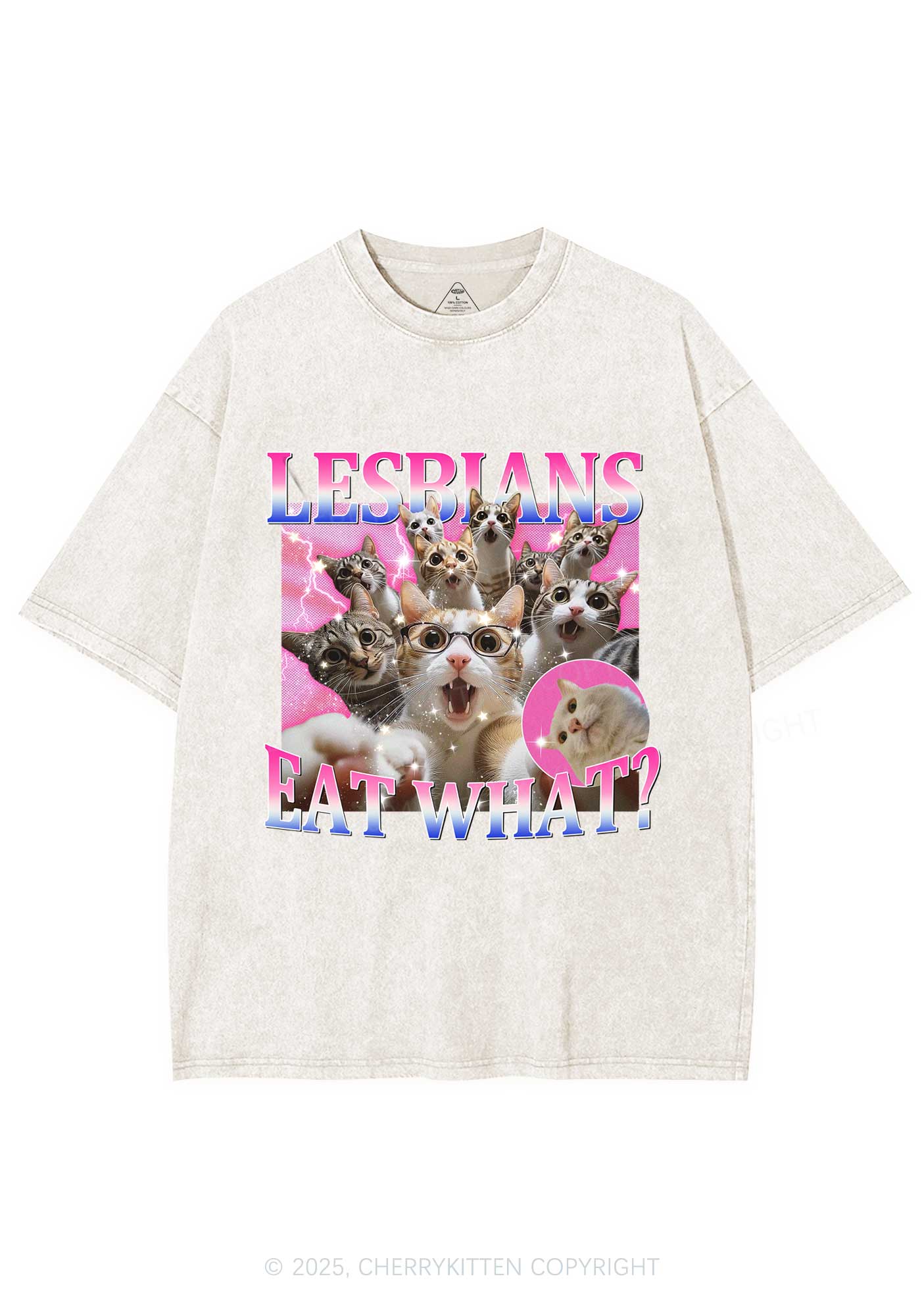 Lesbians Eat What Cat Y2K Washed Tee Cherrykitten