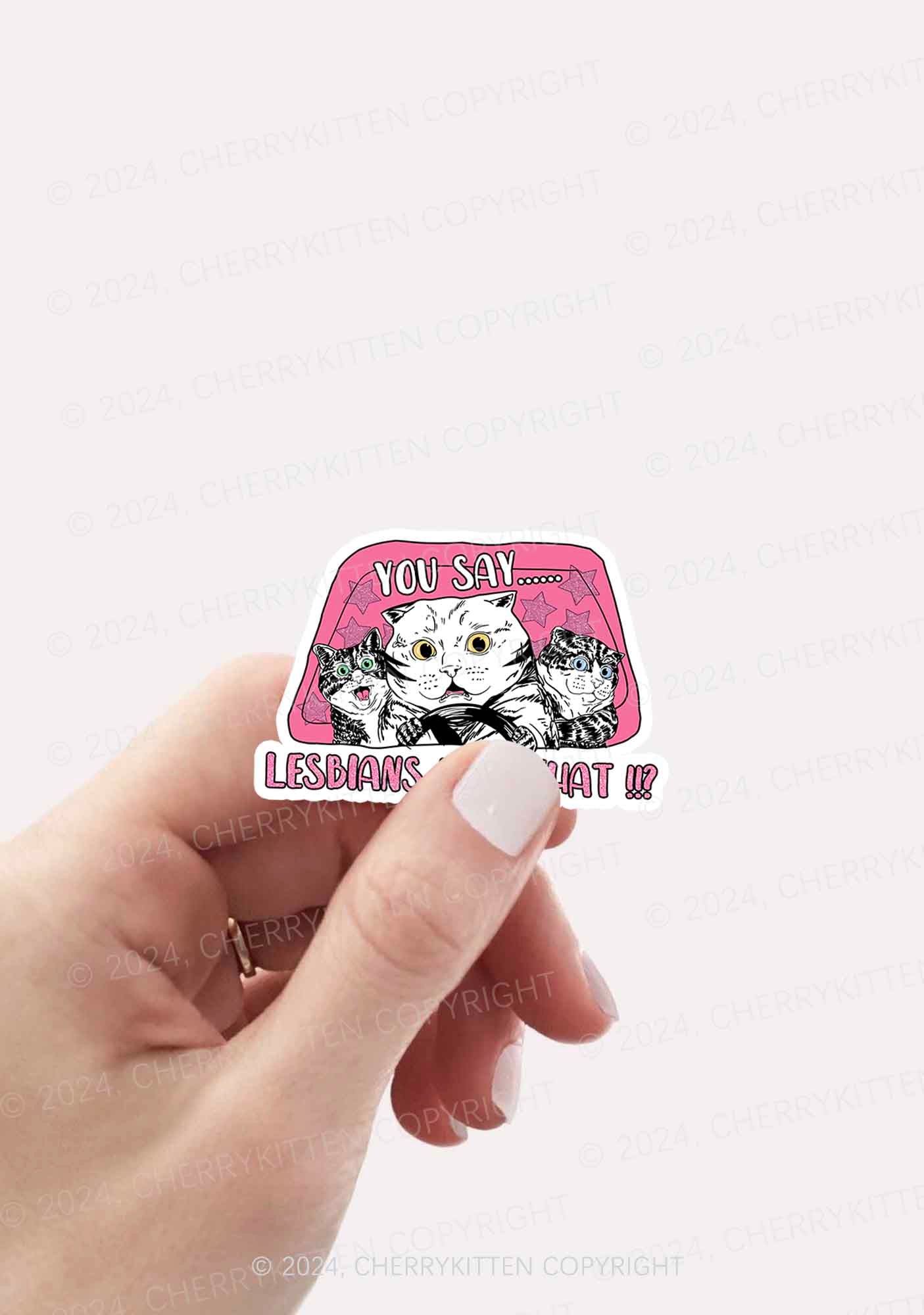 You Say Lesbians Eat What 1Pc Y2K Sticker Cherrykitten