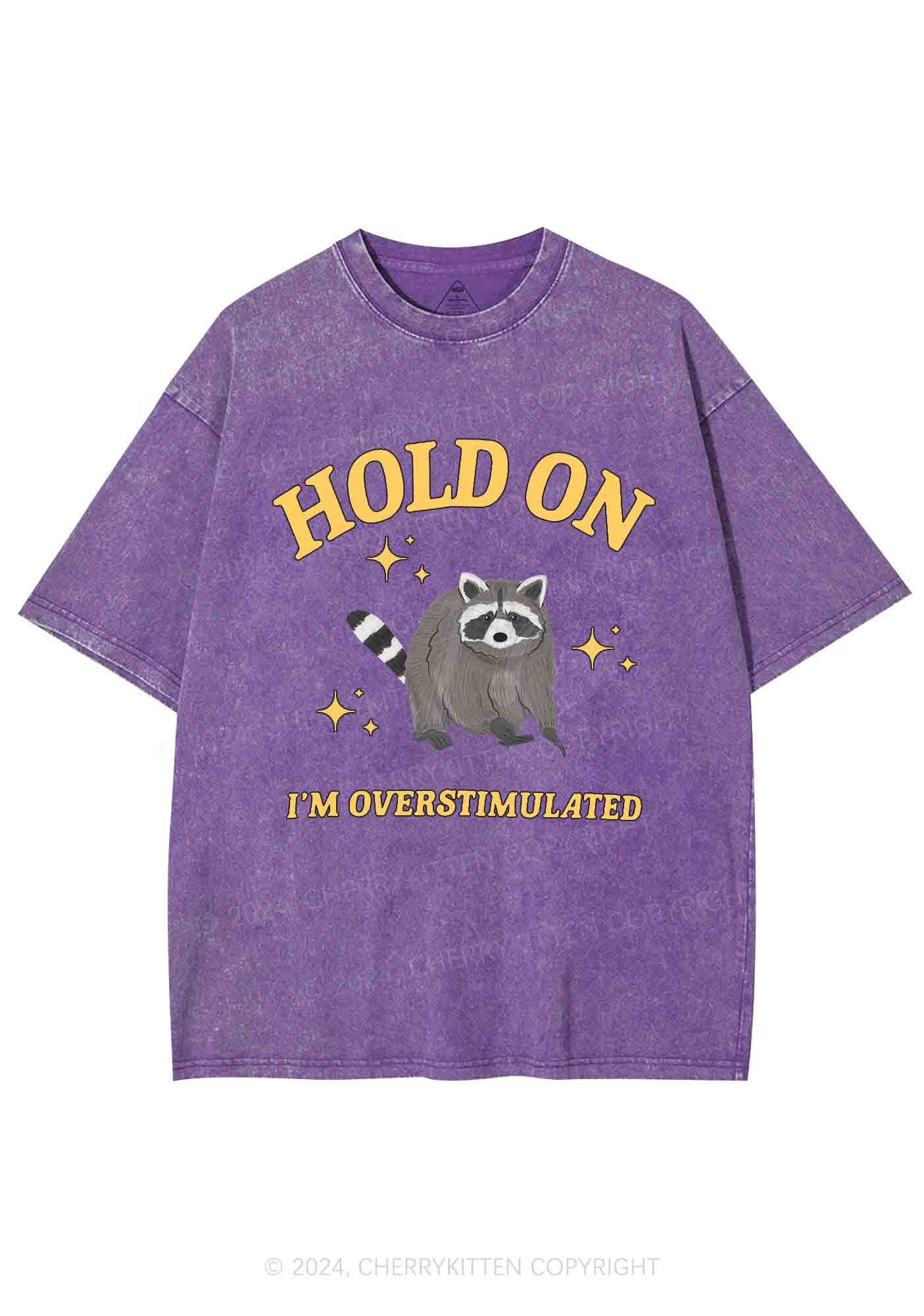 Hold On I'm Overstimulated Y2K Washed Tee Cherrykitten