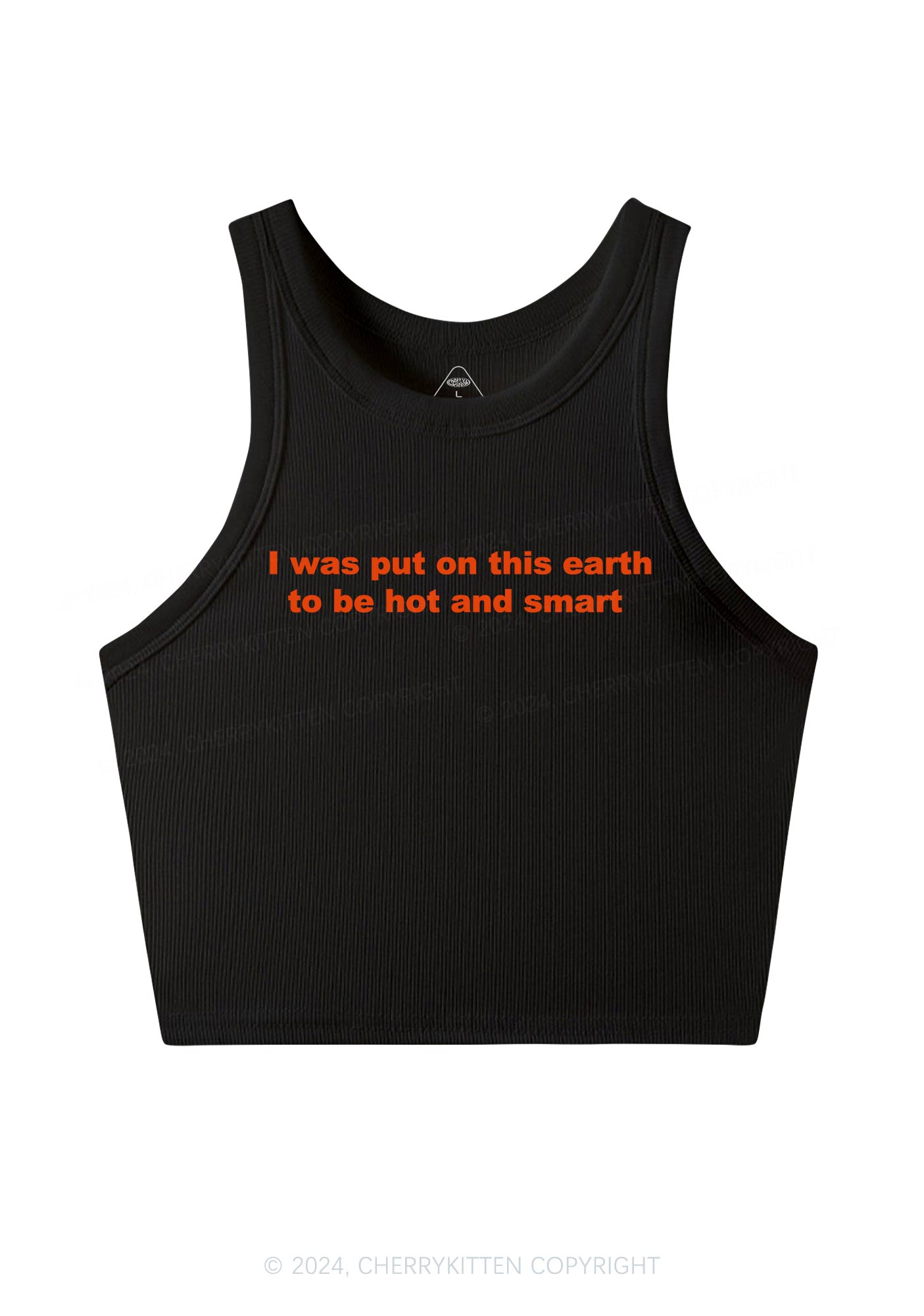 Hot And Smart Y2K Crop Tank Top Cherrykitten