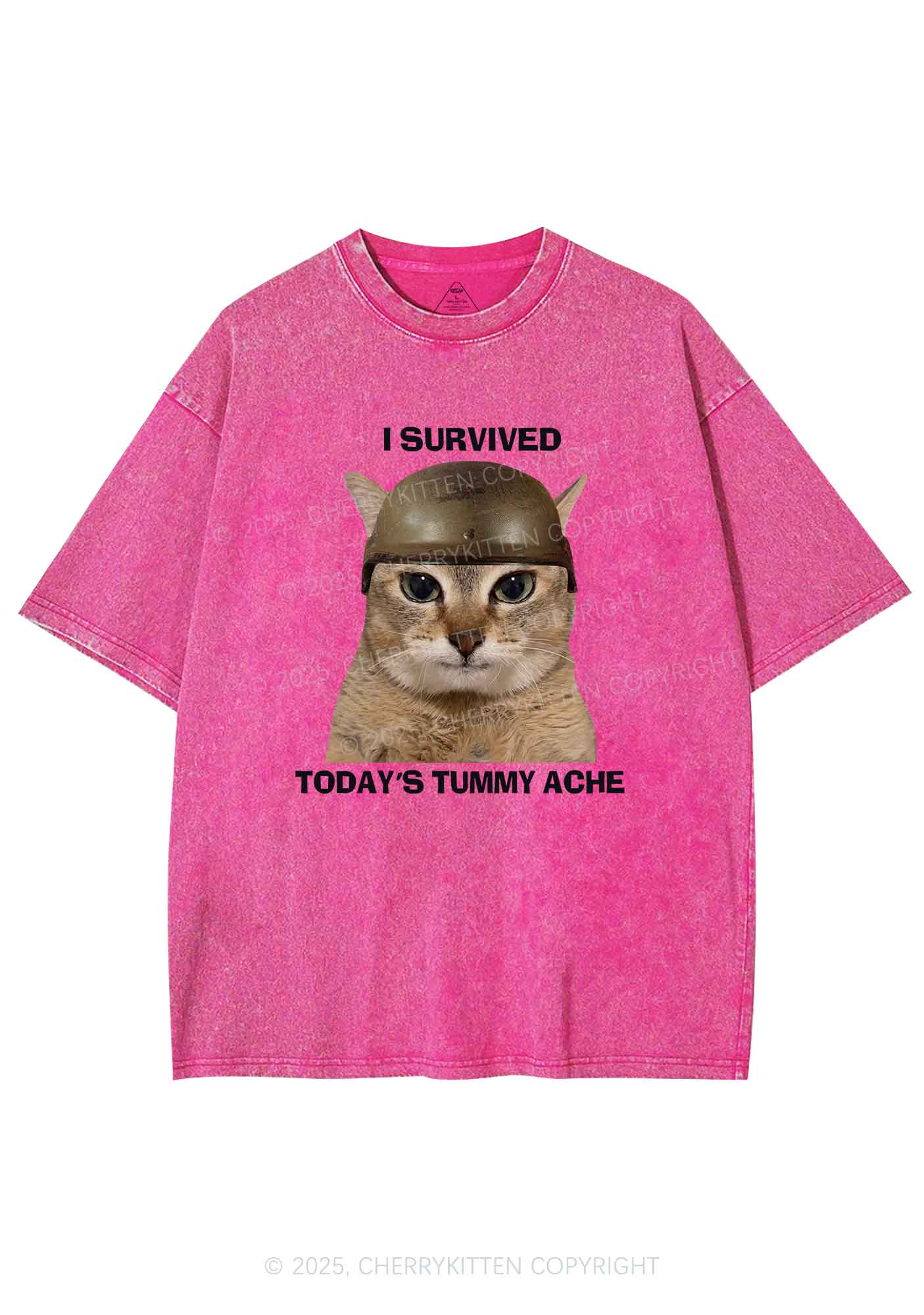 Surived Todays Tummy Ache Y2K Washed Tee Cherrykitten