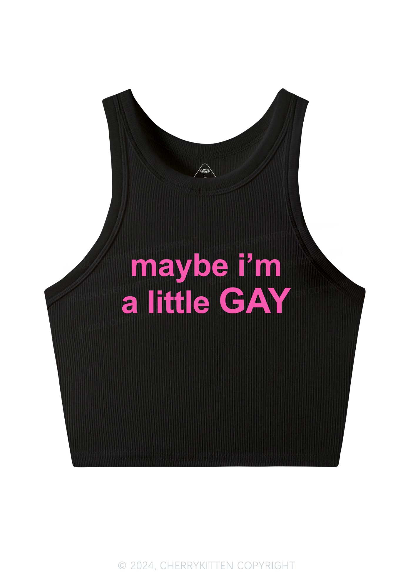 Maybe I'm A Gay Y2K Crop Tank Top Cherrykitten