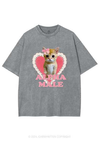 Alpha Male Kitten Y2K Washed Tee Cherrykitten