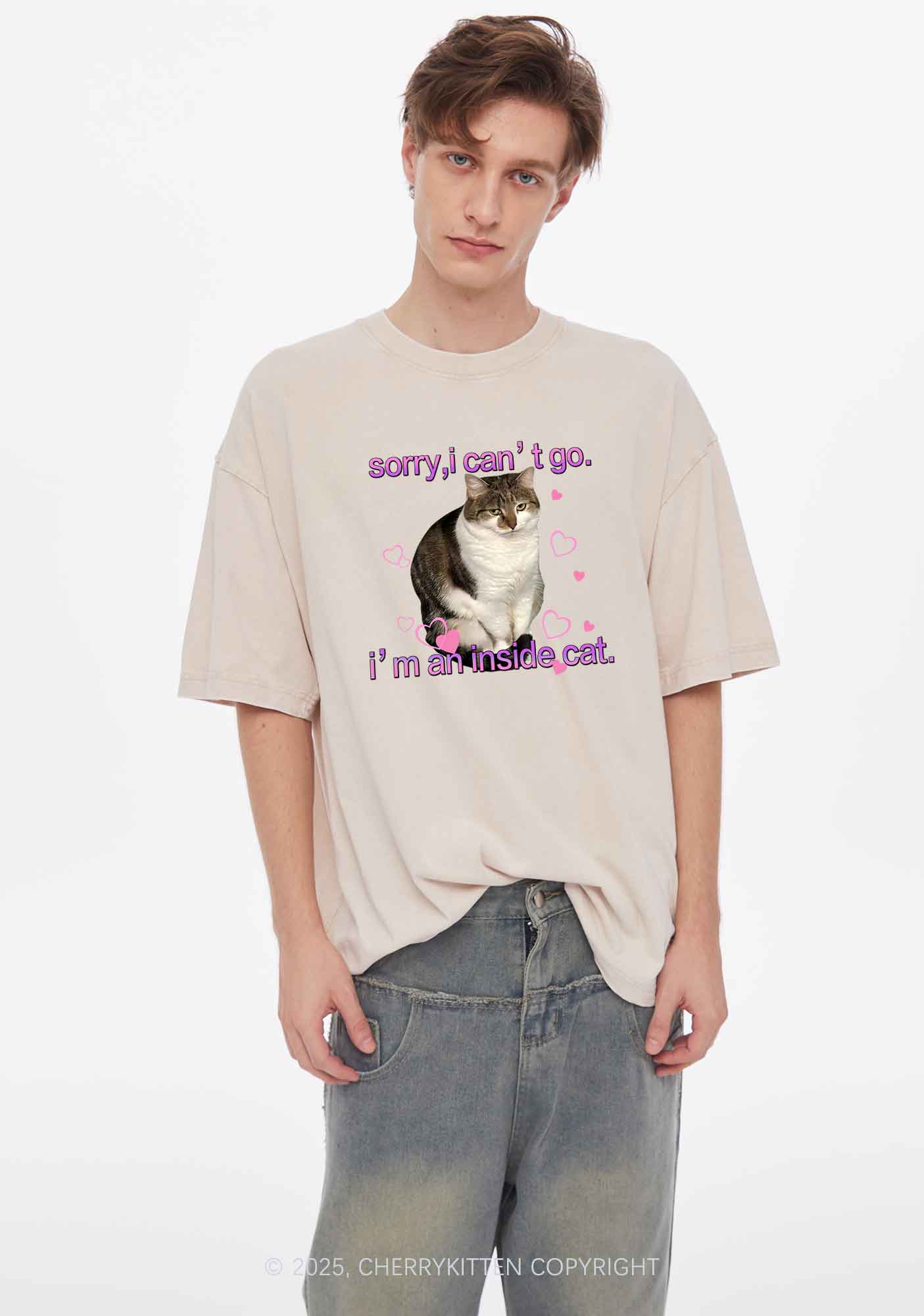 Im An Inside Cat Y2K Washed Tee Cherrykitten