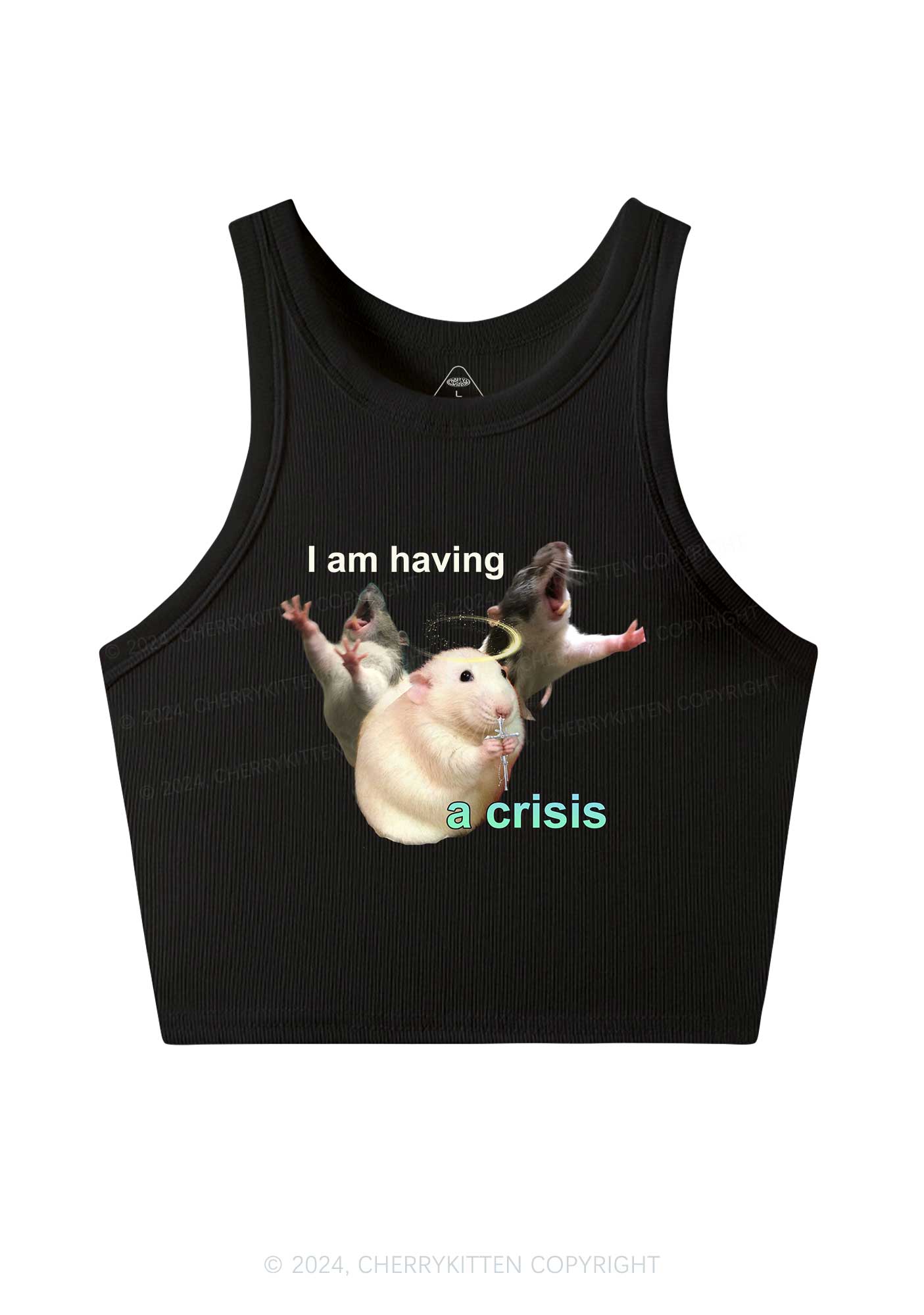 I Am Having Crisis Y2K Crop Tank Top Cherrykitten