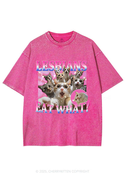 Lesbians Eat What Cat Y2K Washed Tee Cherrykitten