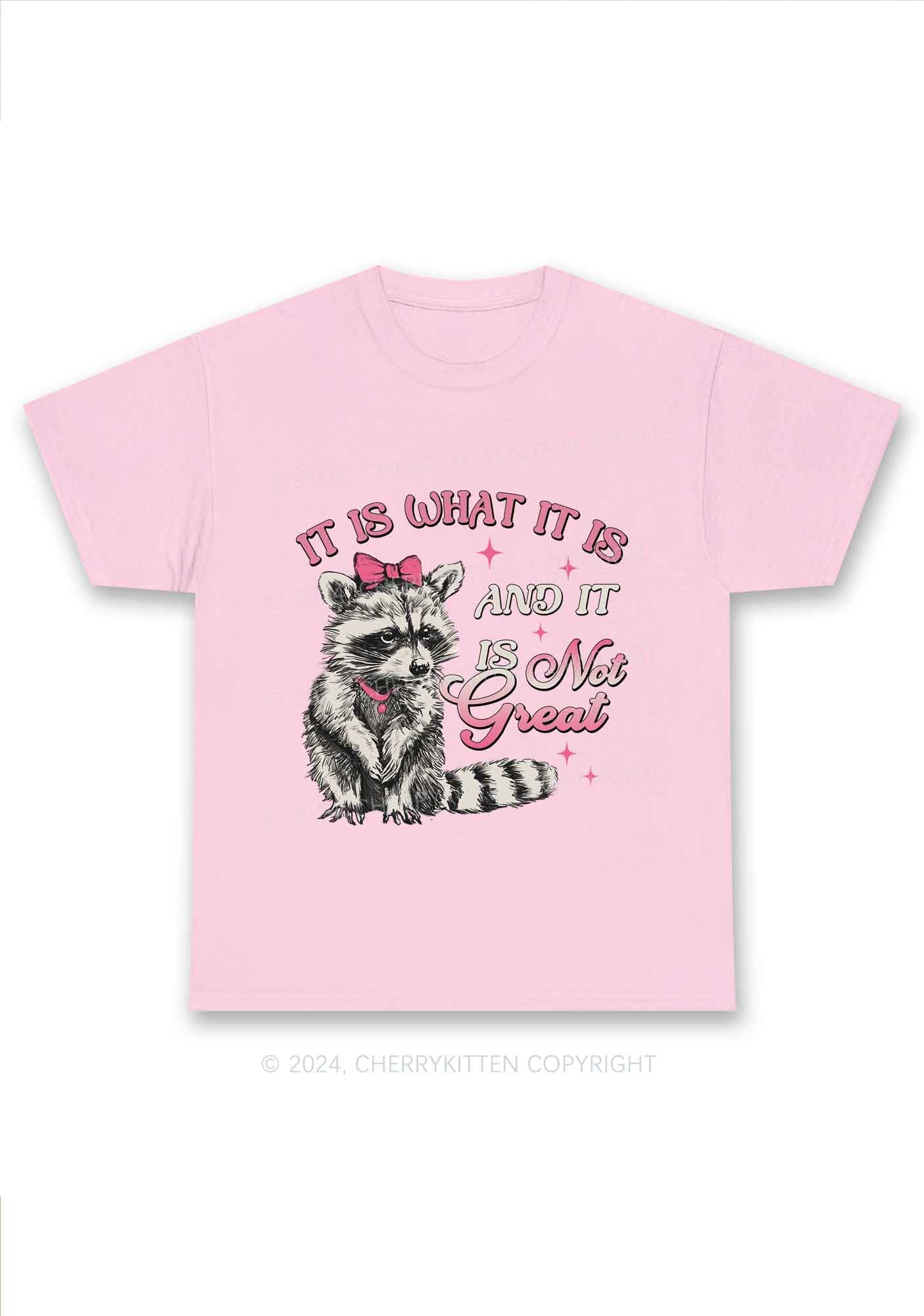 Not Great Raccoon Y2K Chunky Shirt Cherrykitten