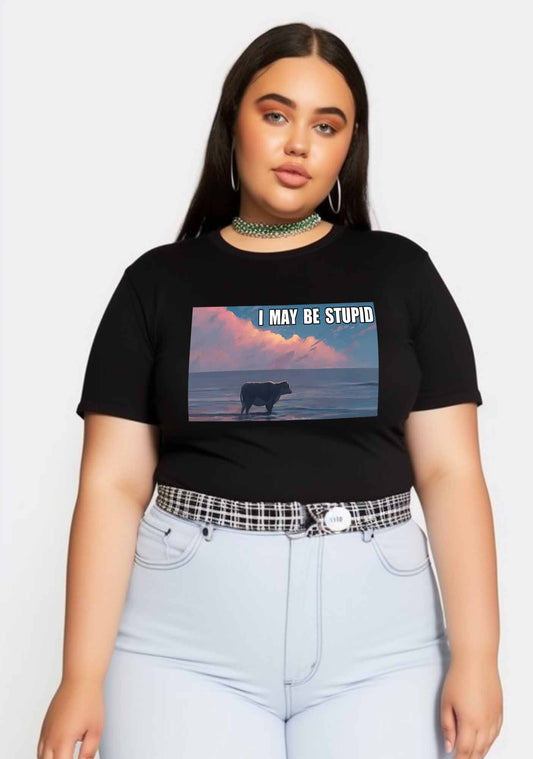 Curvy I May Be Stupid Meme Baby Tee