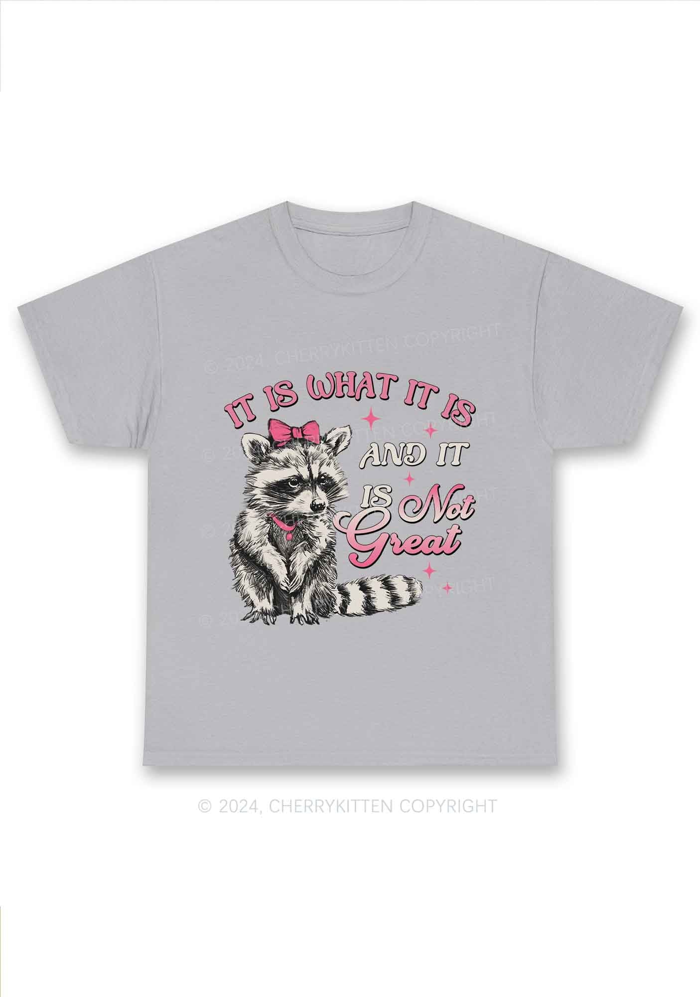 Not Great Raccoon Y2K Chunky Shirt Cherrykitten