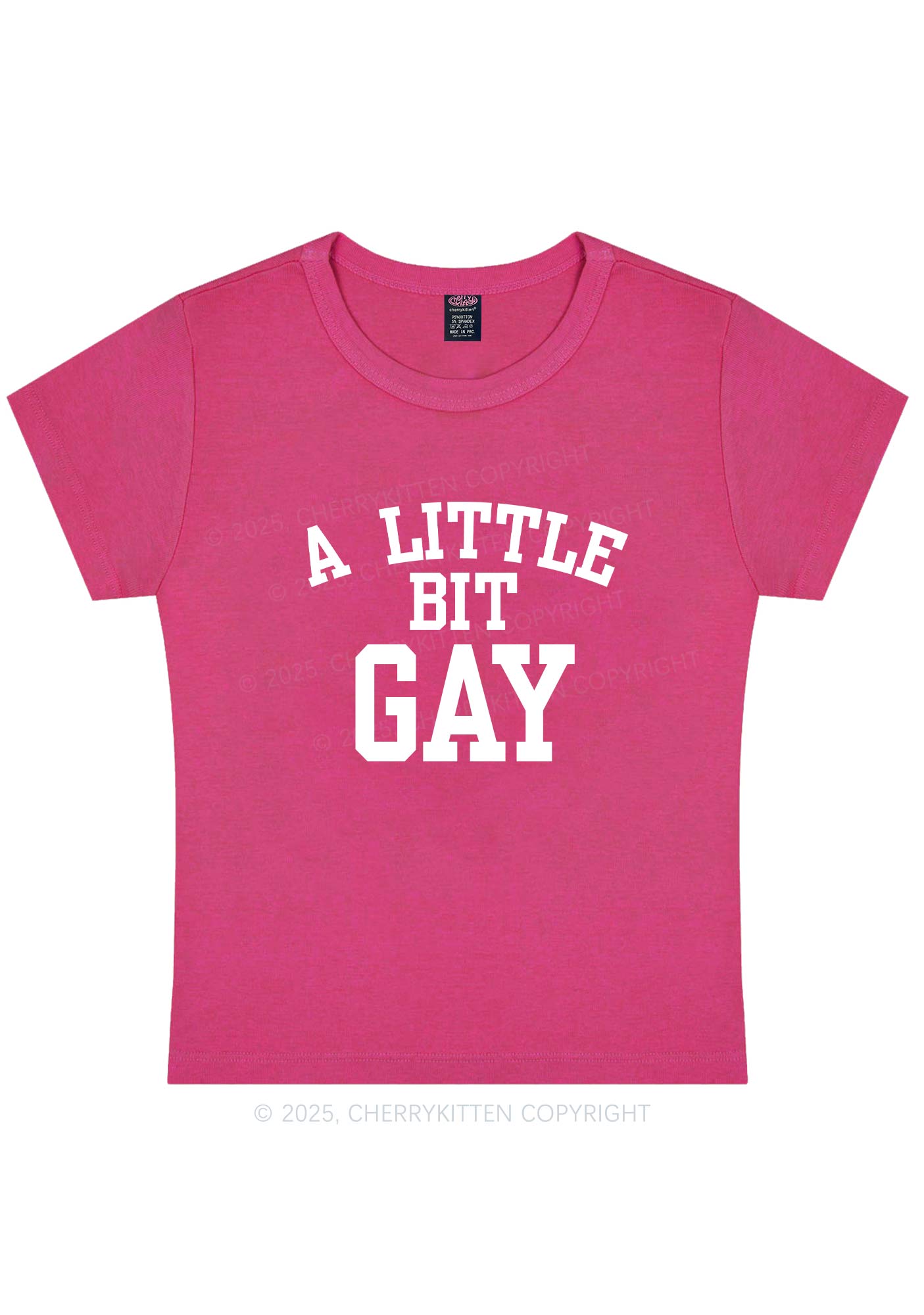 A Little Bit Gay Y2K Baby Tee Cherrykitten