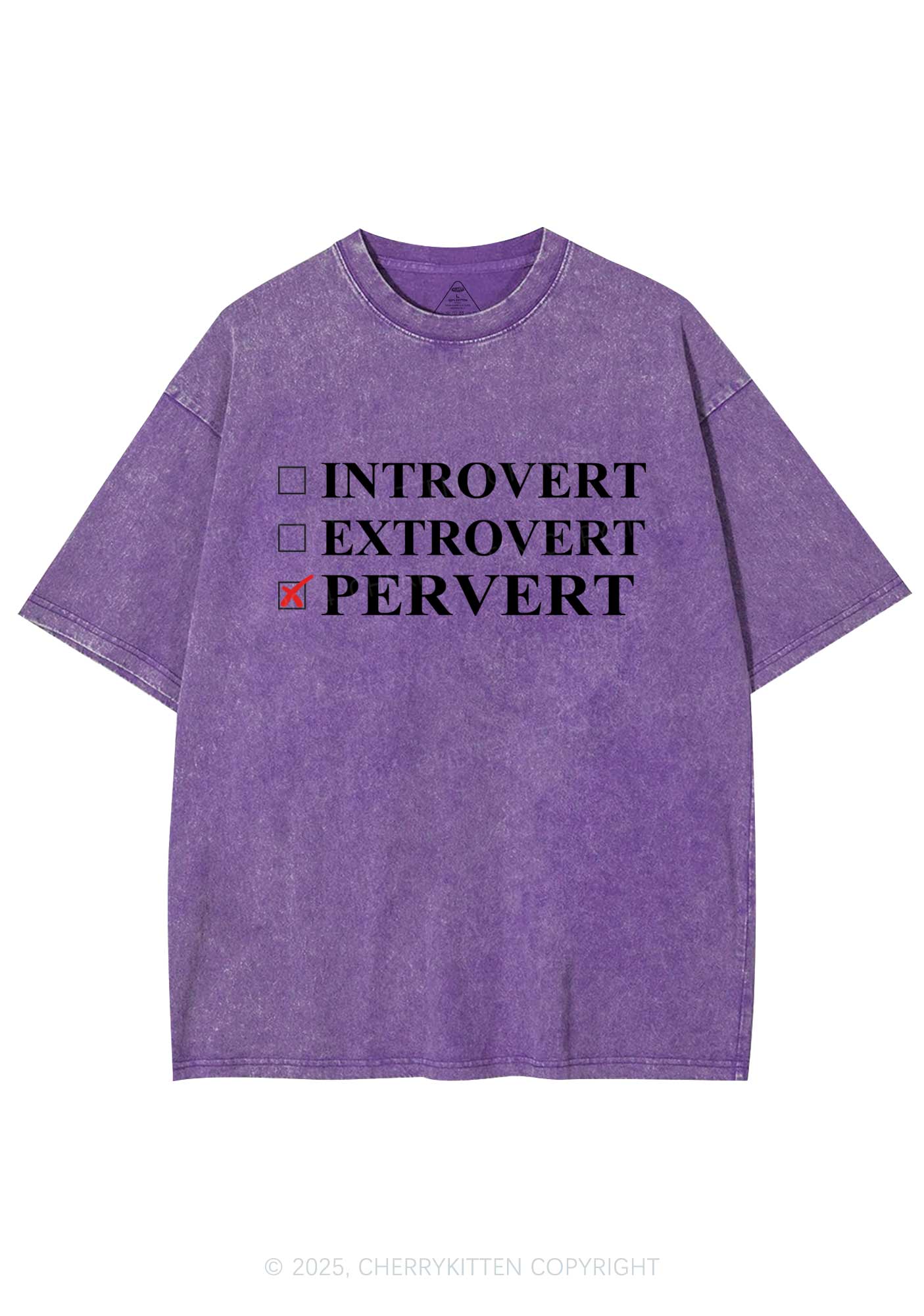 Be Pervert Y2K Washed Tee Cherrykitten