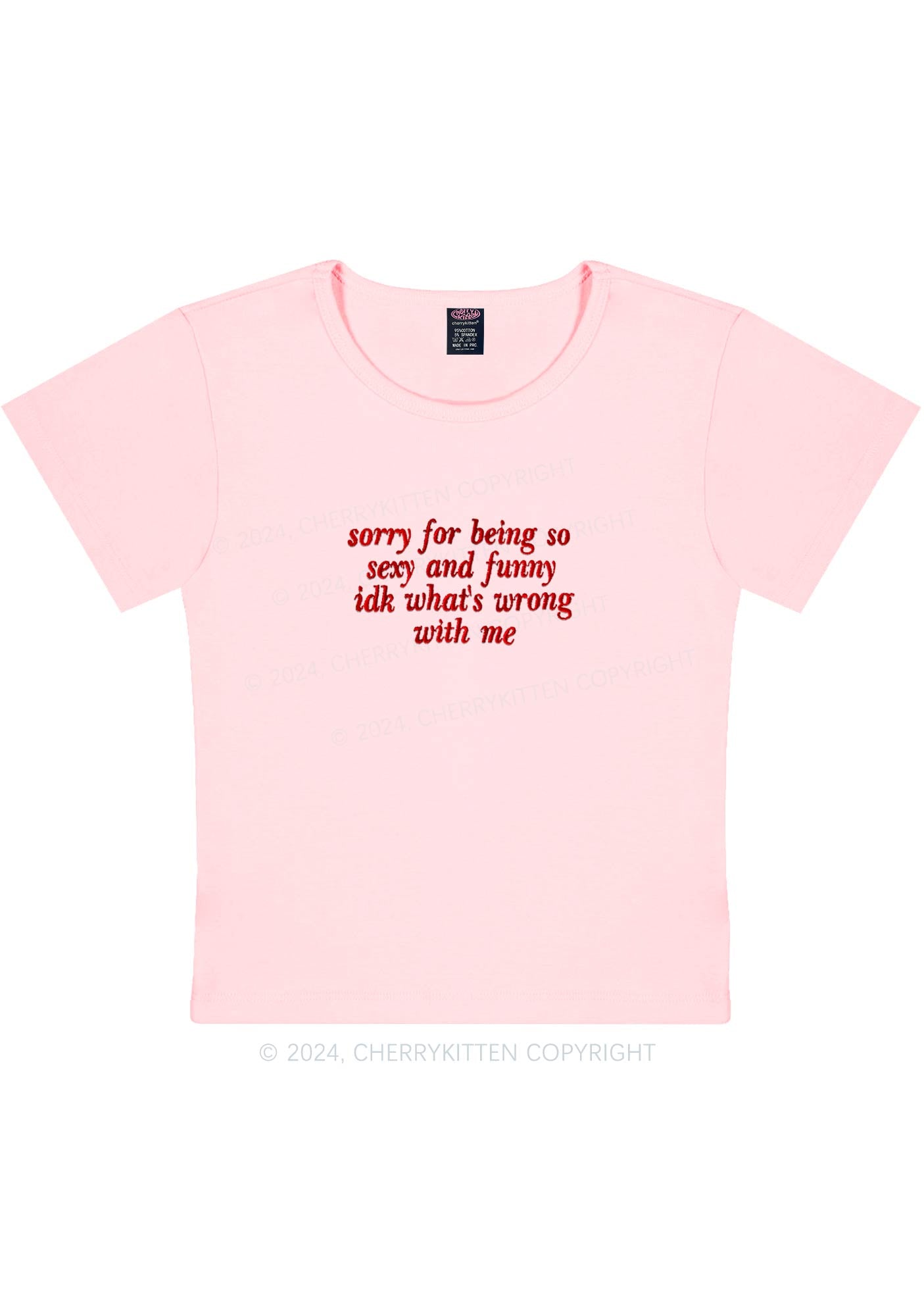 Embroidered Sorry For Being So Funny Y2K Baby Tee Cherrykitten