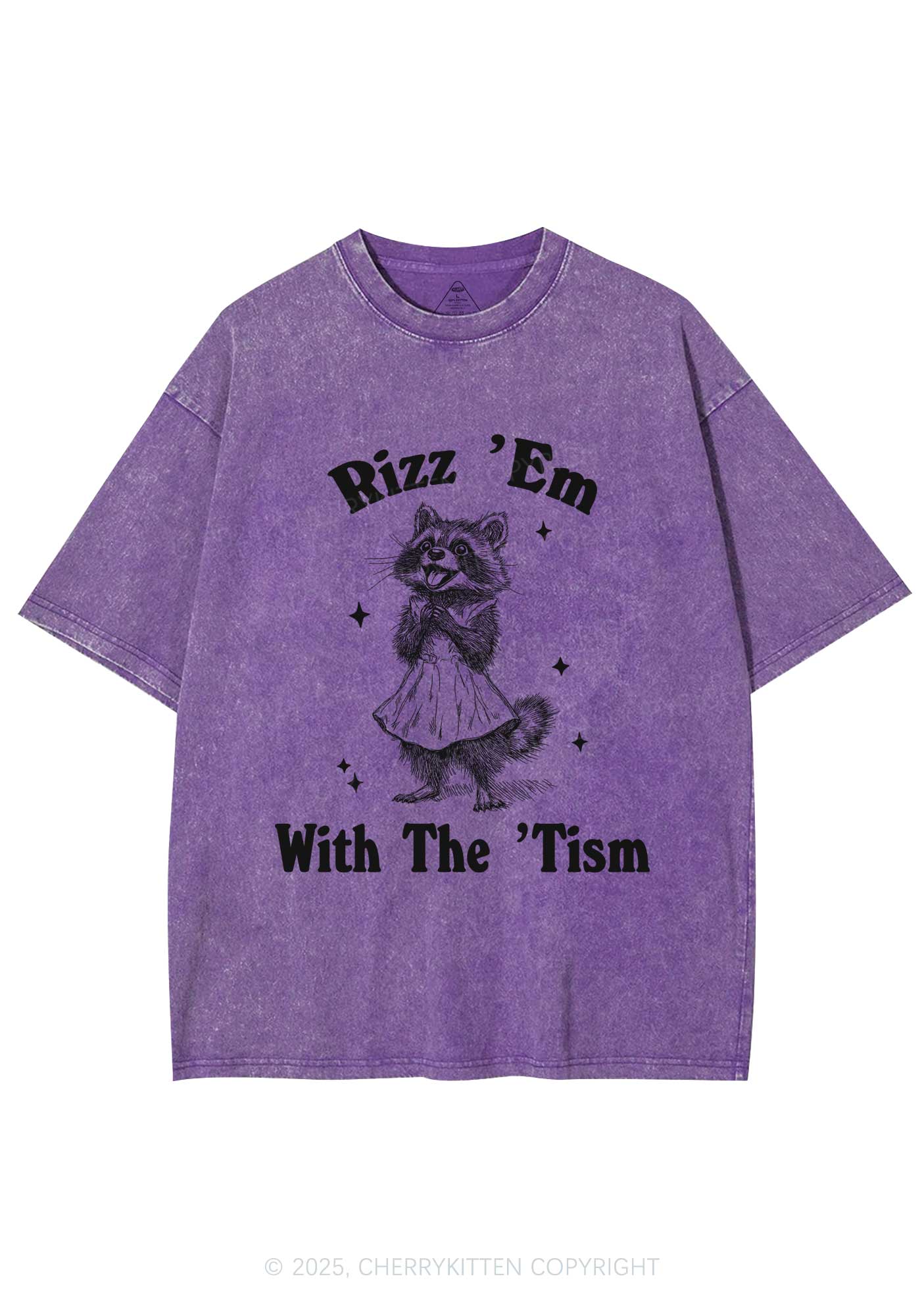 Rizz Em With The Tism Y2K Washed Tee Cherrykitten