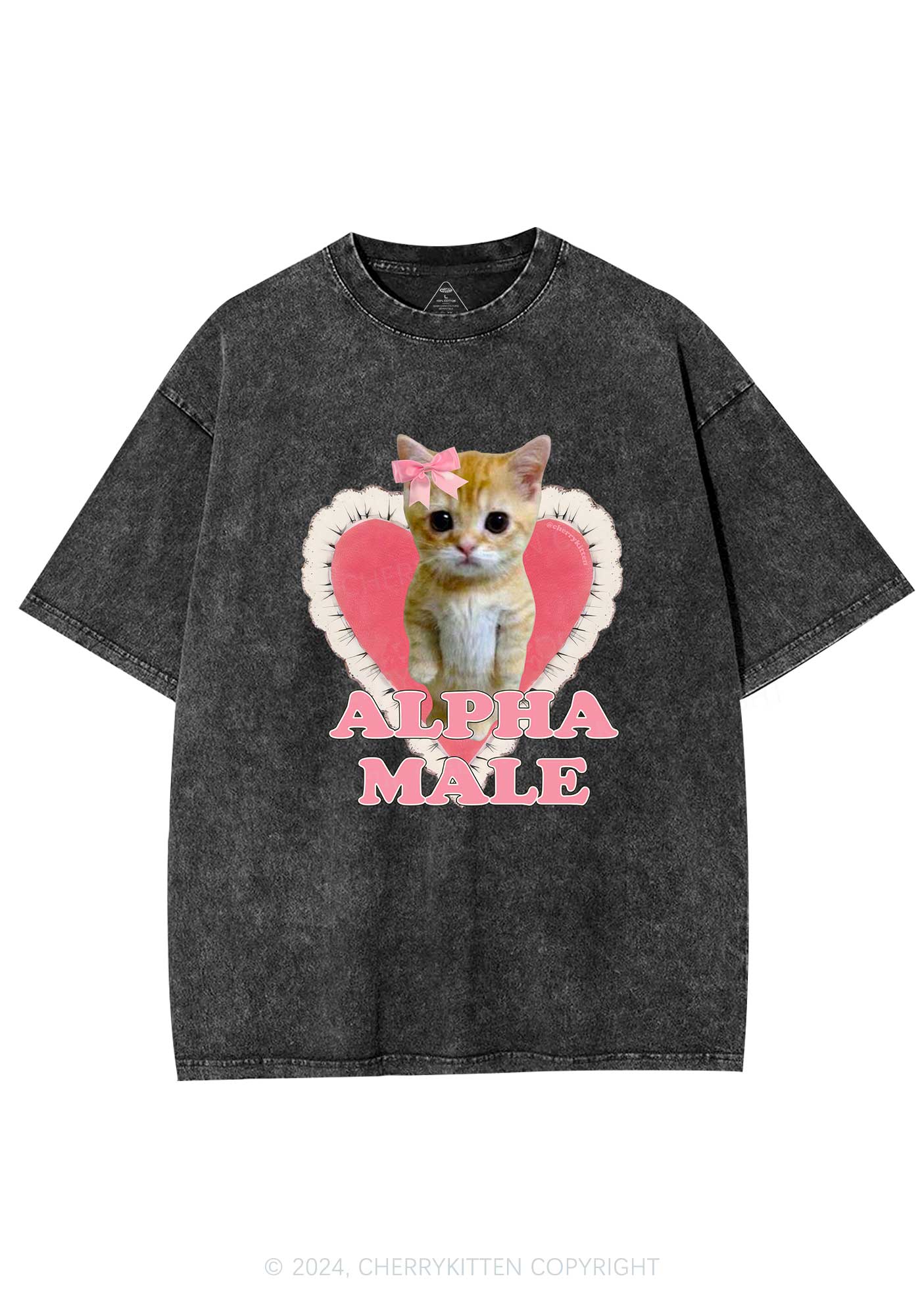 Alpha Male Kitten Y2K Washed Tee Cherrykitten