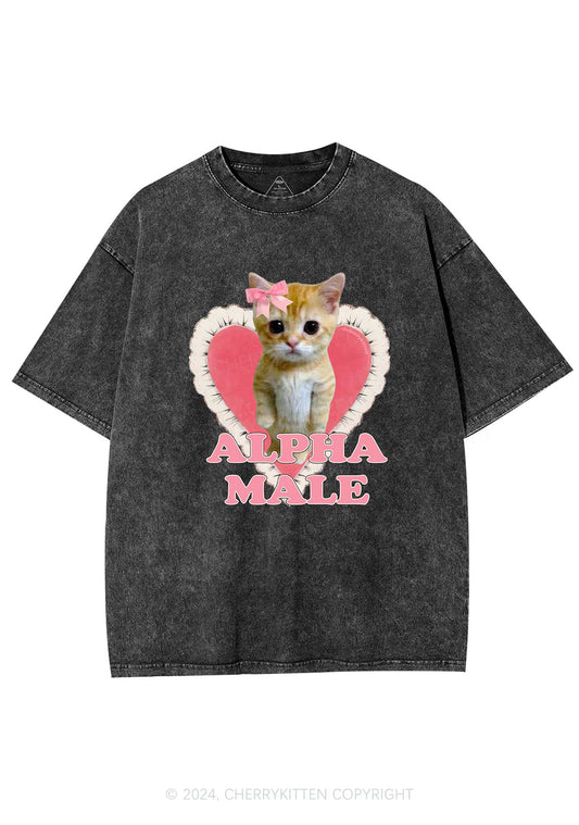 Alpha Male Kitten Y2K Washed Tee Cherrykitten