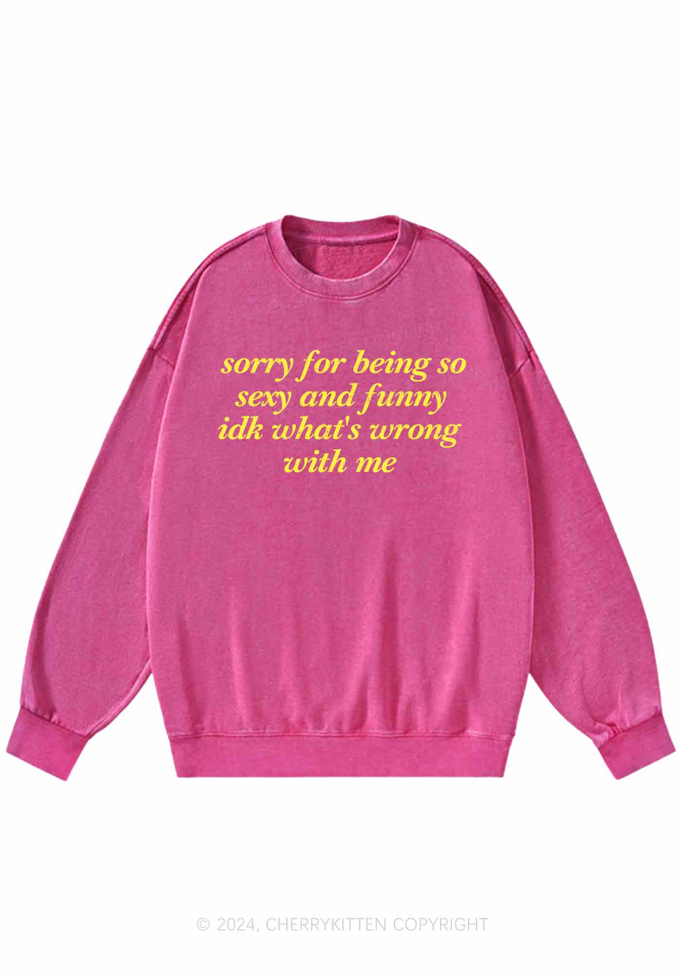 Sorry For Being So Funny Y2K Washed Sweatshirts Cherrykitten