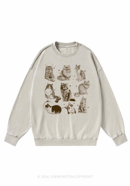 Retro Kitten Y2K Washed Sweatshirts Cherrykitten