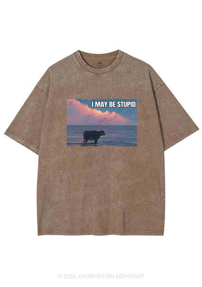 I May Be Stupid Meme Y2K Washed Tee Cherrykitten