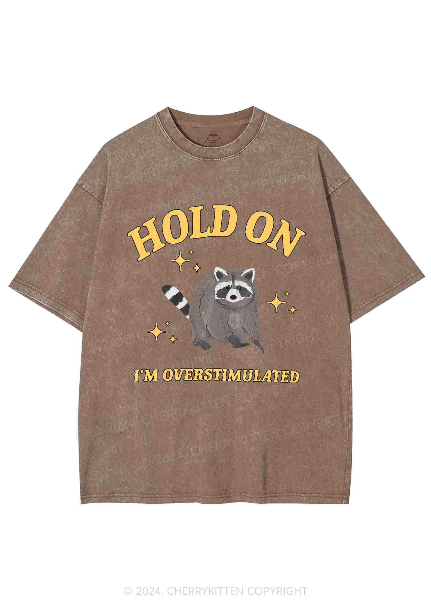 Hold On I'm Overstimulated Y2K Washed Tee Cherrykitten