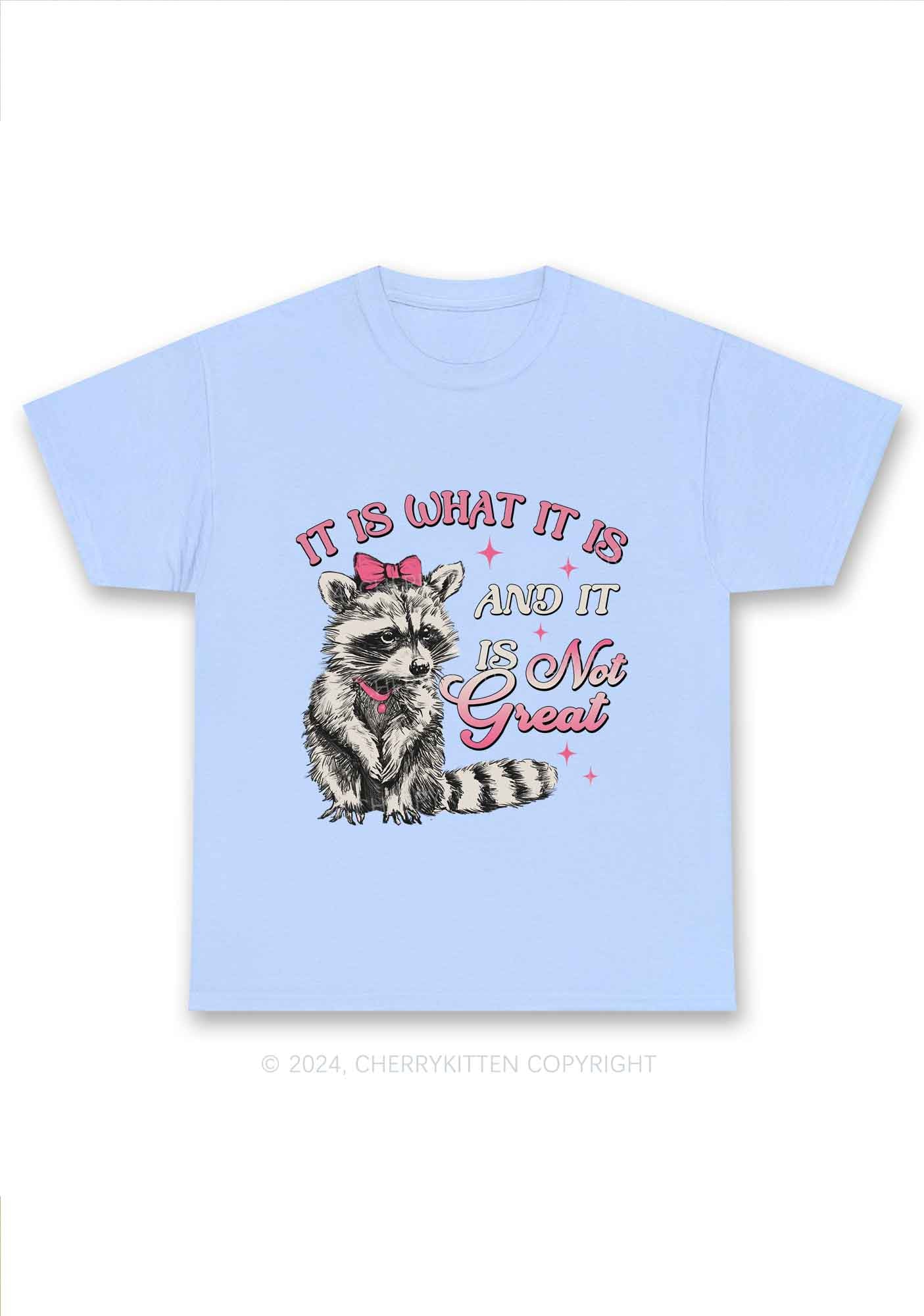 Not Great Raccoon Y2K Chunky Shirt Cherrykitten