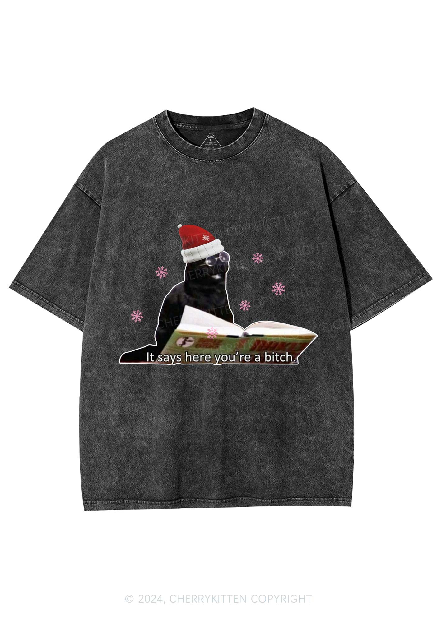 Christmas Cat Bxxch Y2K Washed Tee Cherrykitten