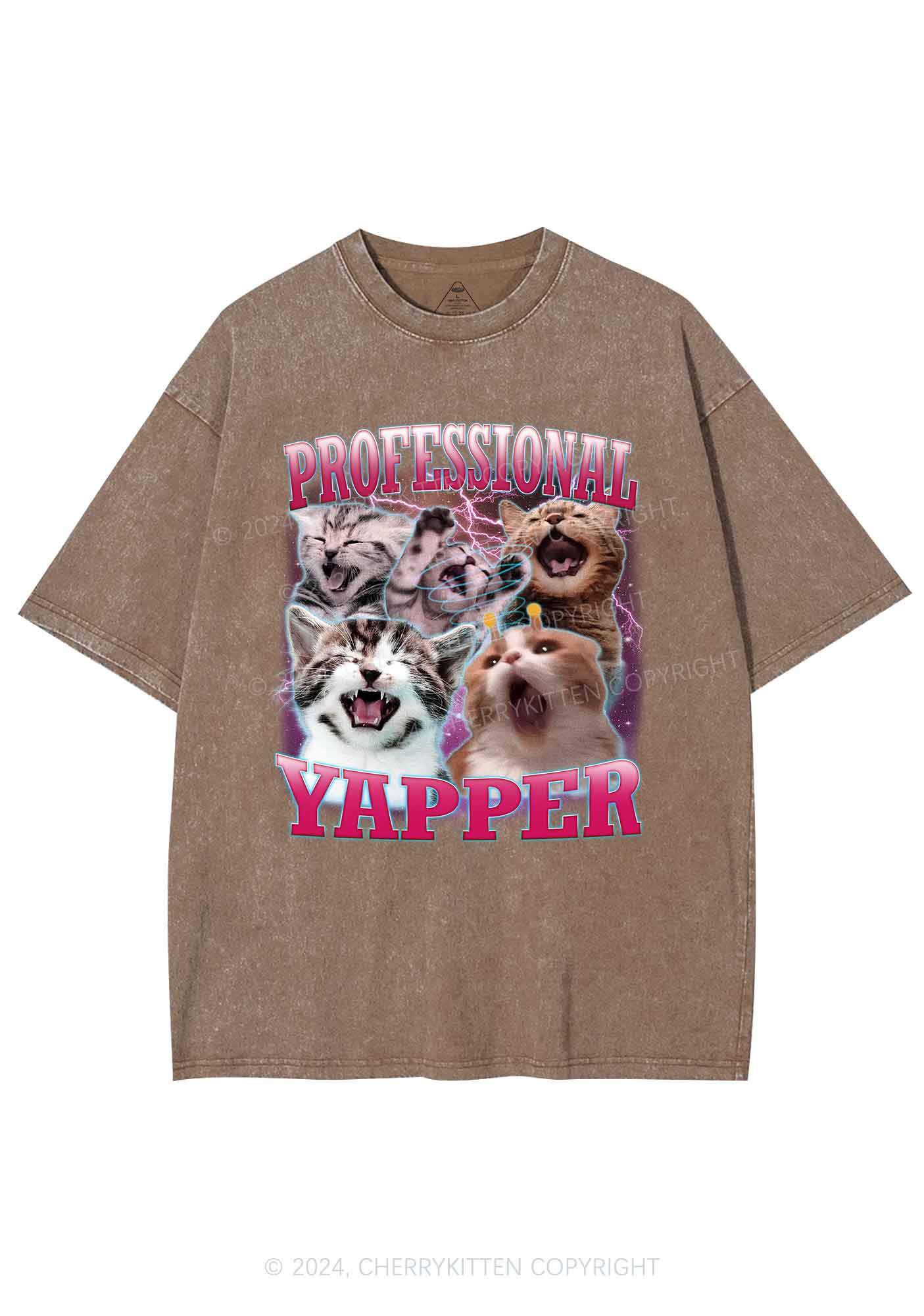 Professional Yapper Cat Y2K Washed Tee Cherrykitten