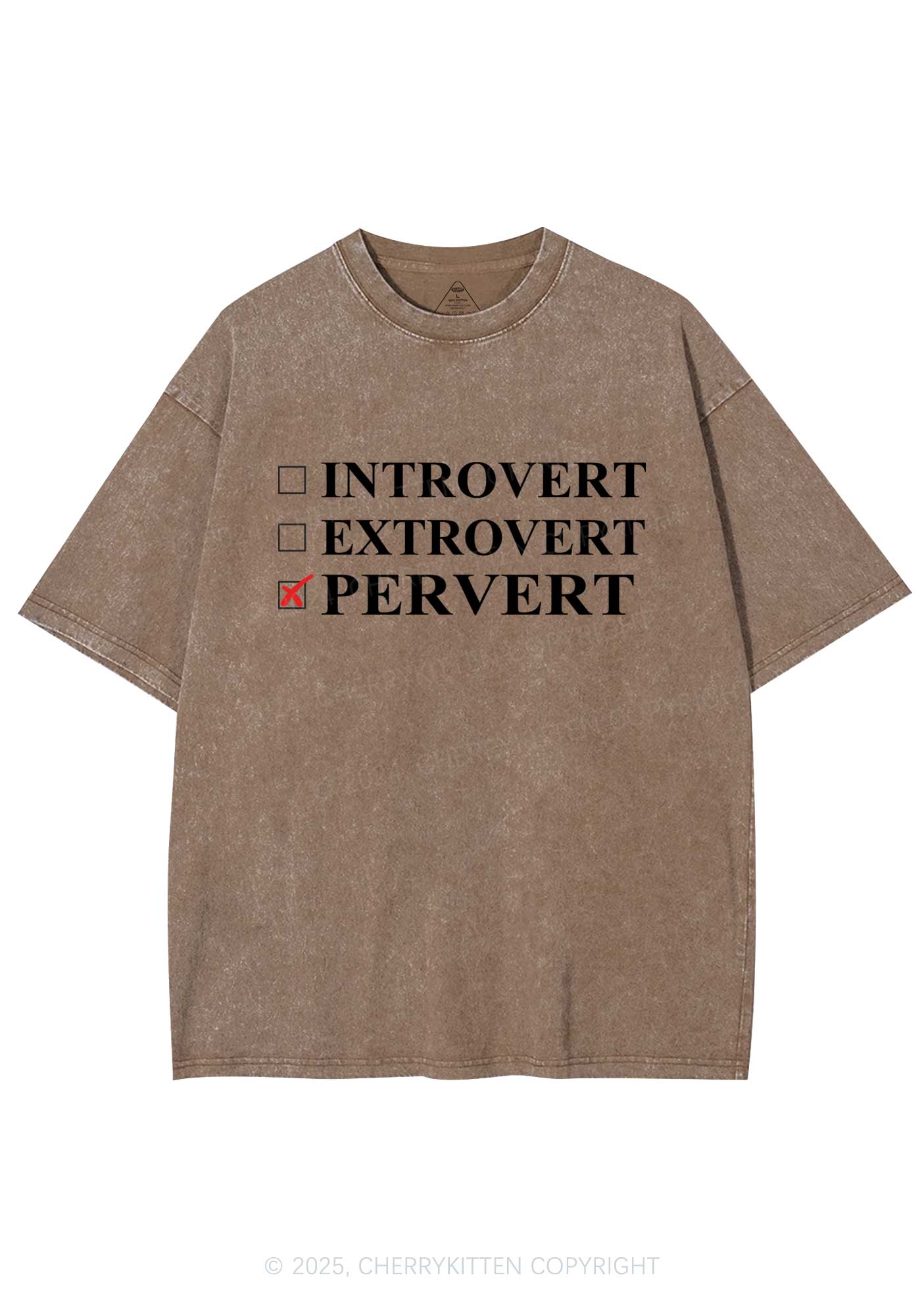 Be Pervert Y2K Washed Tee Cherrykitten