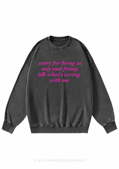 Sorry For Being So Funny Y2K Washed Sweatshirts Cherrykitten