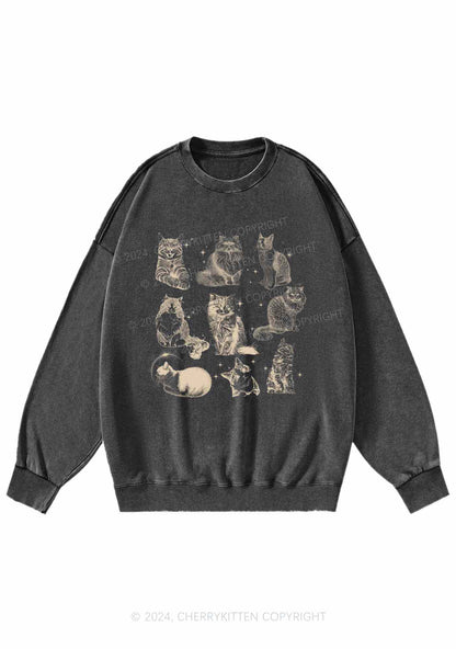 Retro Kitten Y2K Washed Sweatshirts Cherrykitten