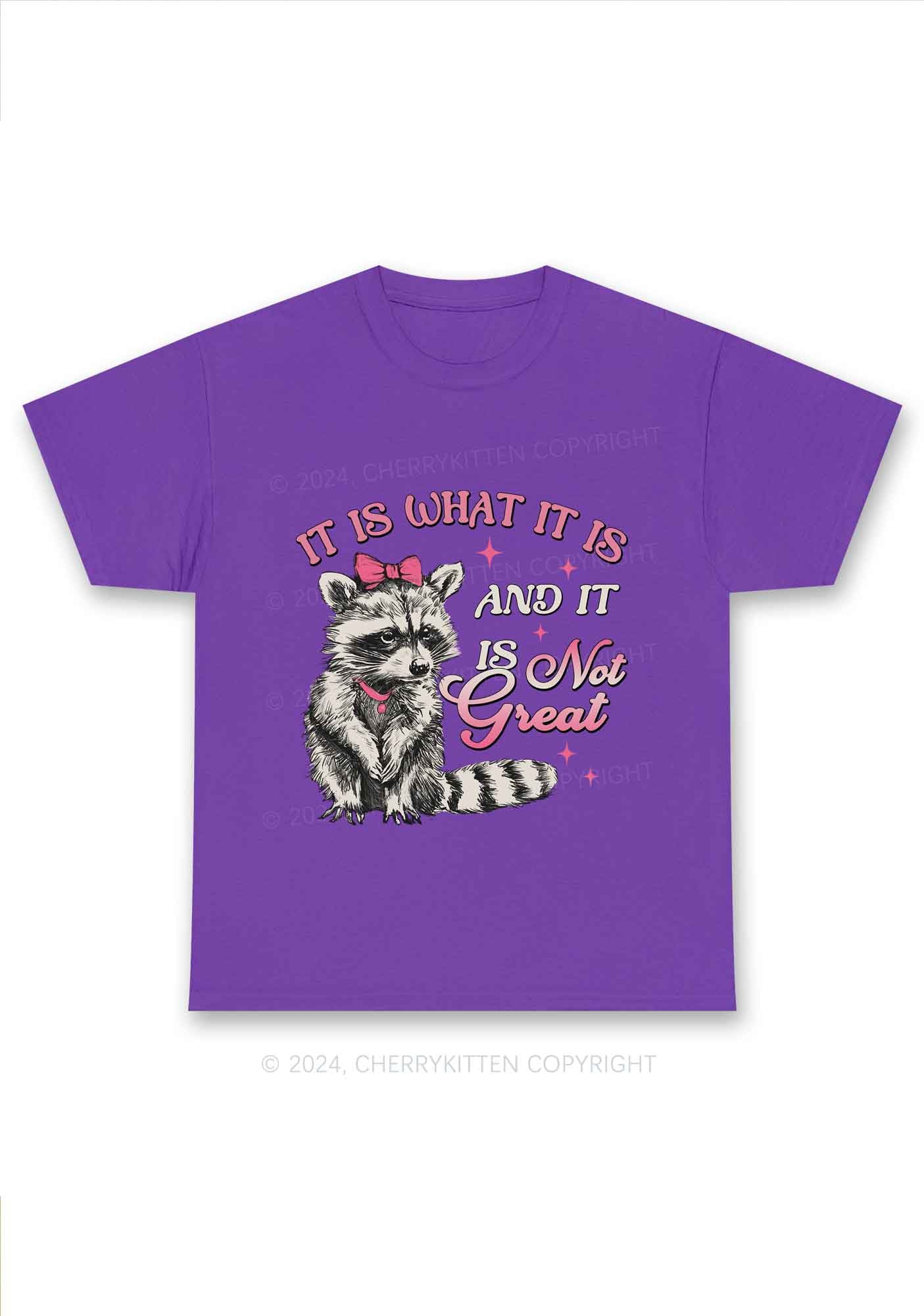 Not Great Raccoon Y2K Chunky Shirt Cherrykitten